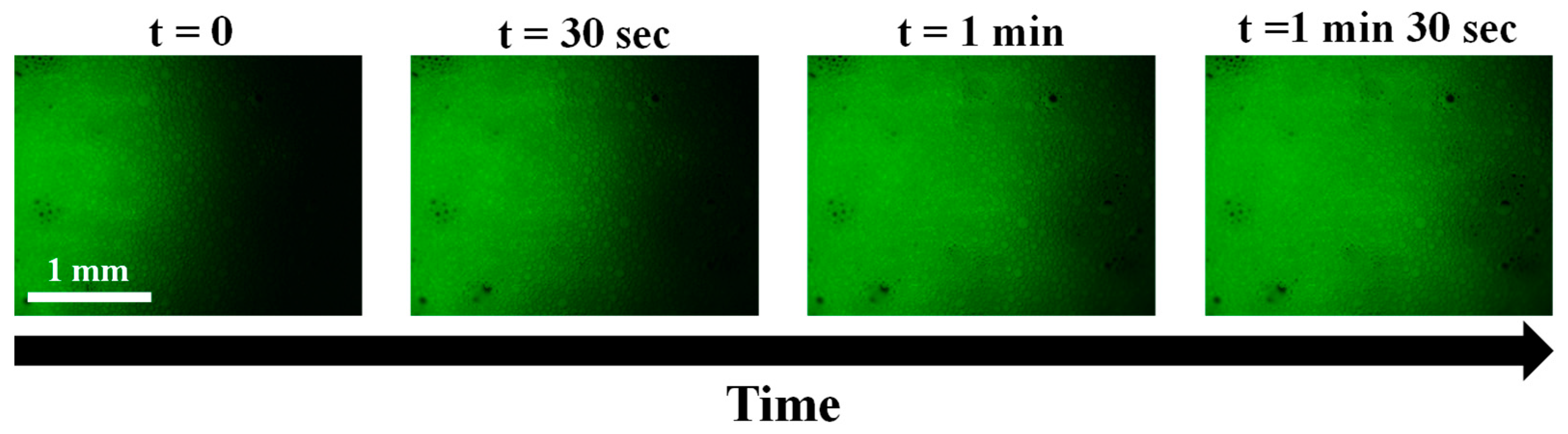 Molecules 28 04295 g006 Molecules 28 04295 g006