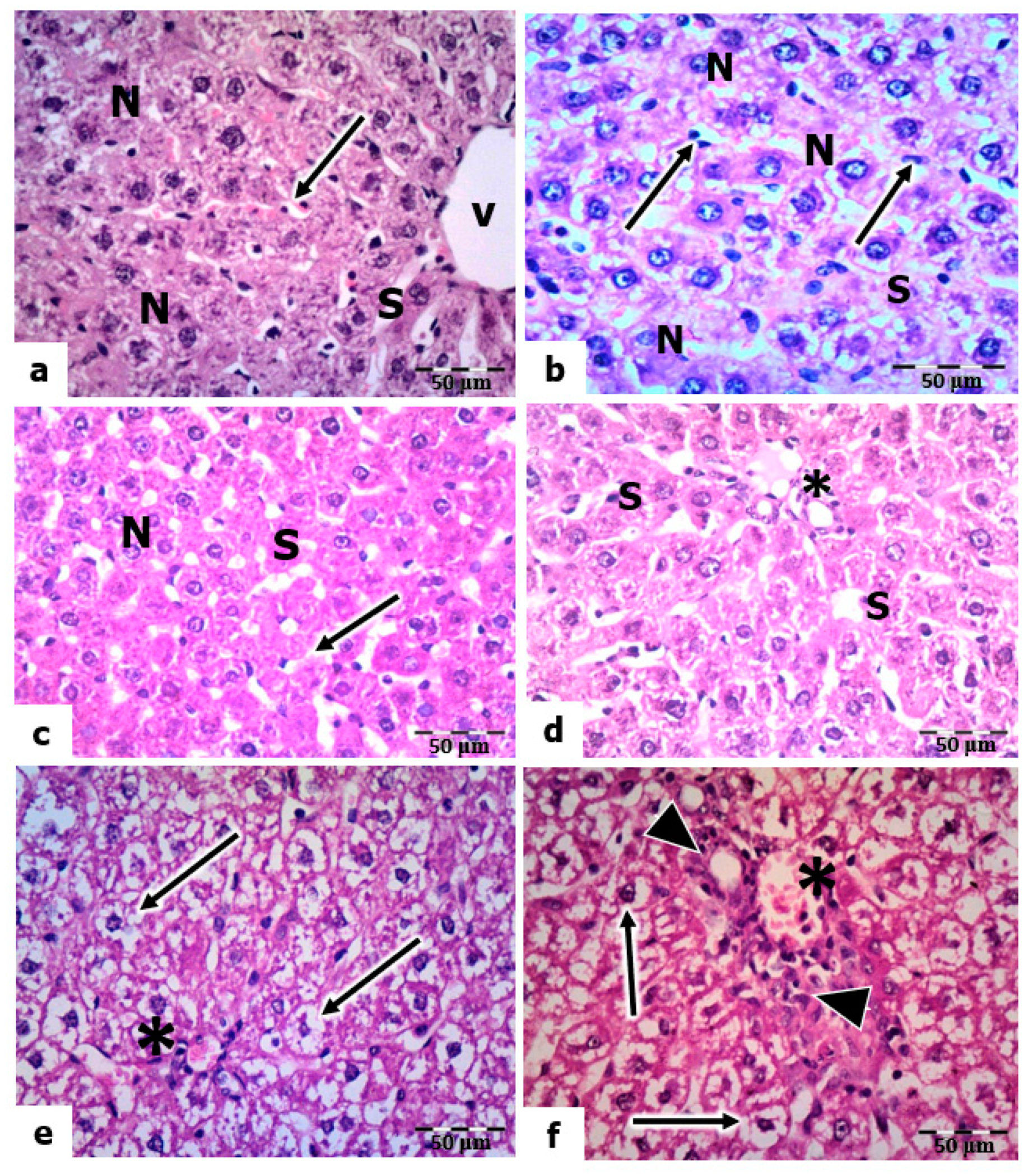 Molecules 28 04302 g005 Molecules 28 04302 g005