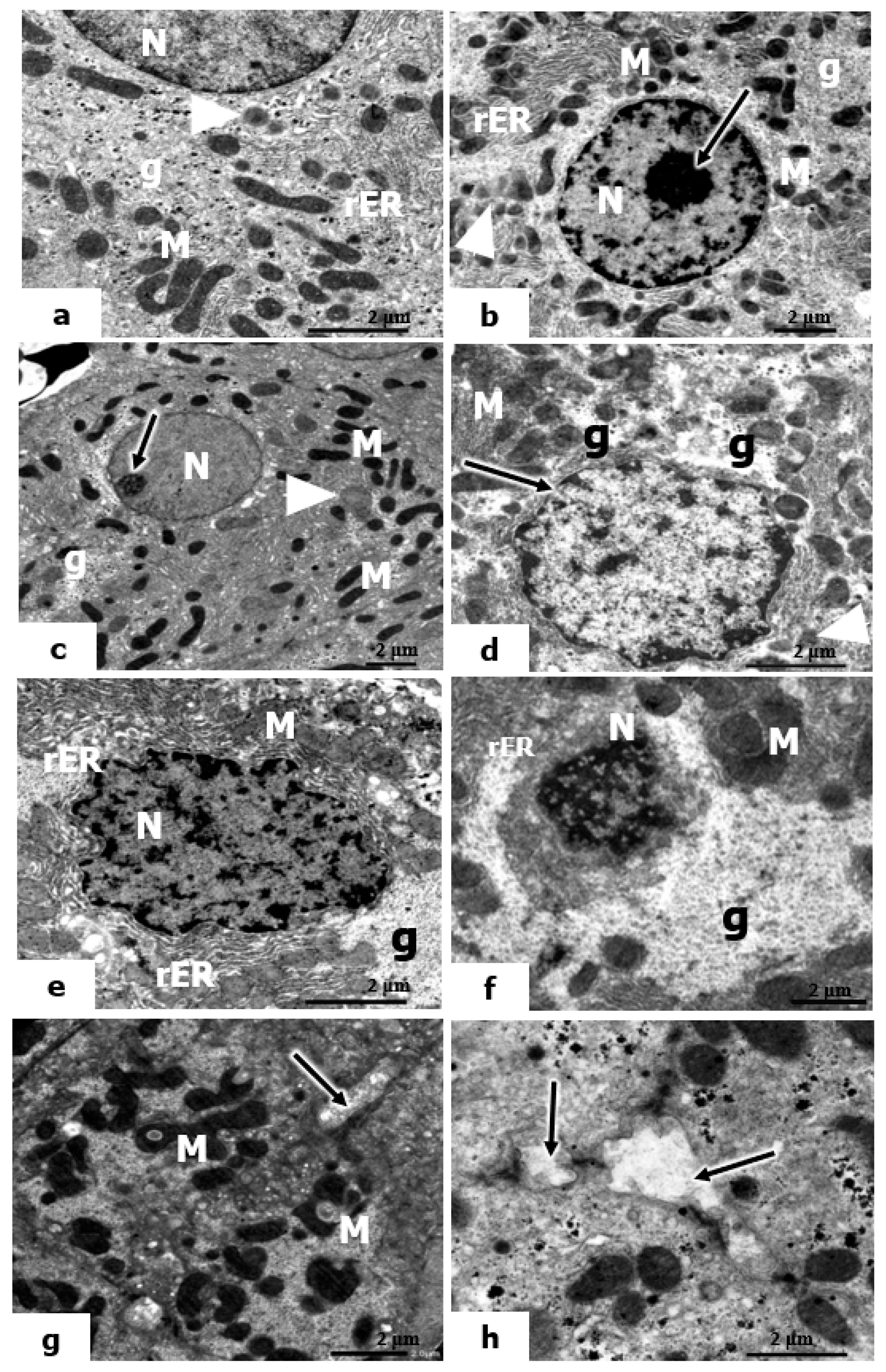 Molecules 28 04302 g007 Molecules 28 04302 g007