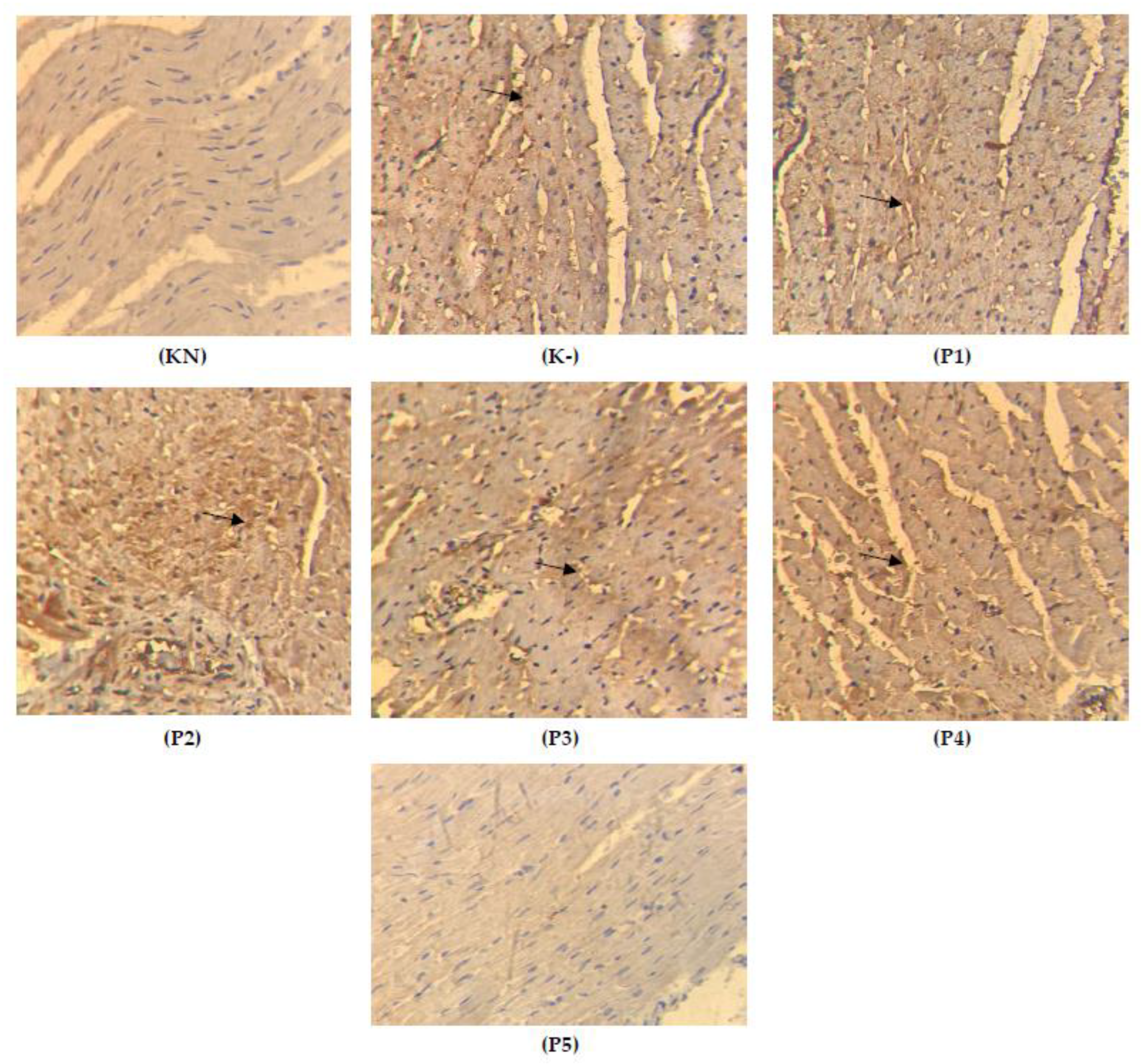 Molecules 28 04305 g005