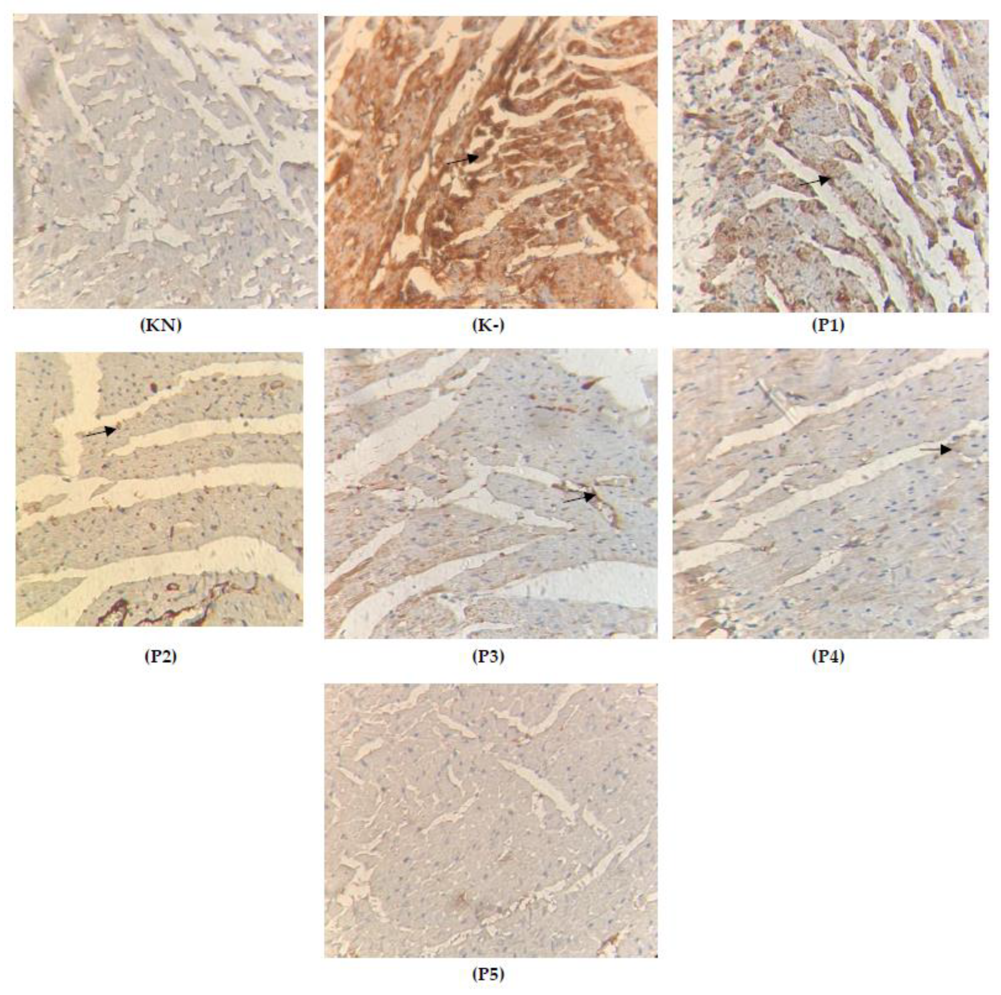 Molecules 28 04305 g006
