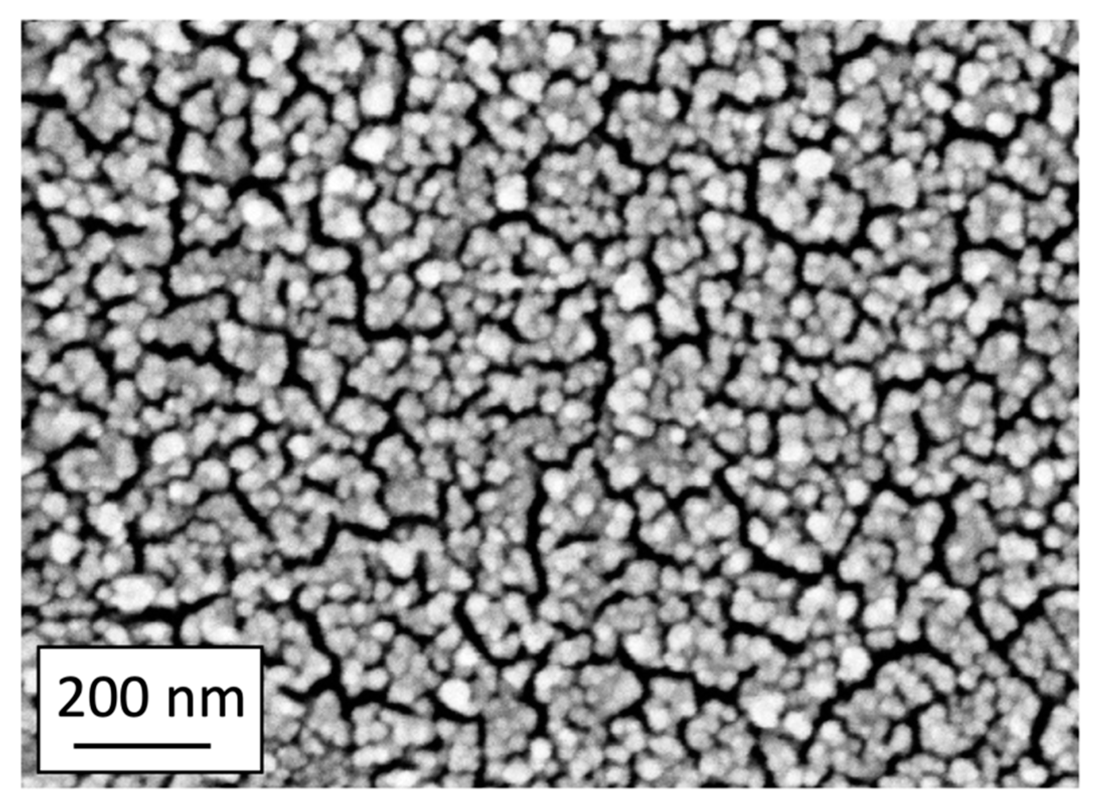 Molecules 28 04309 g008 Molecules 28 04309 g008