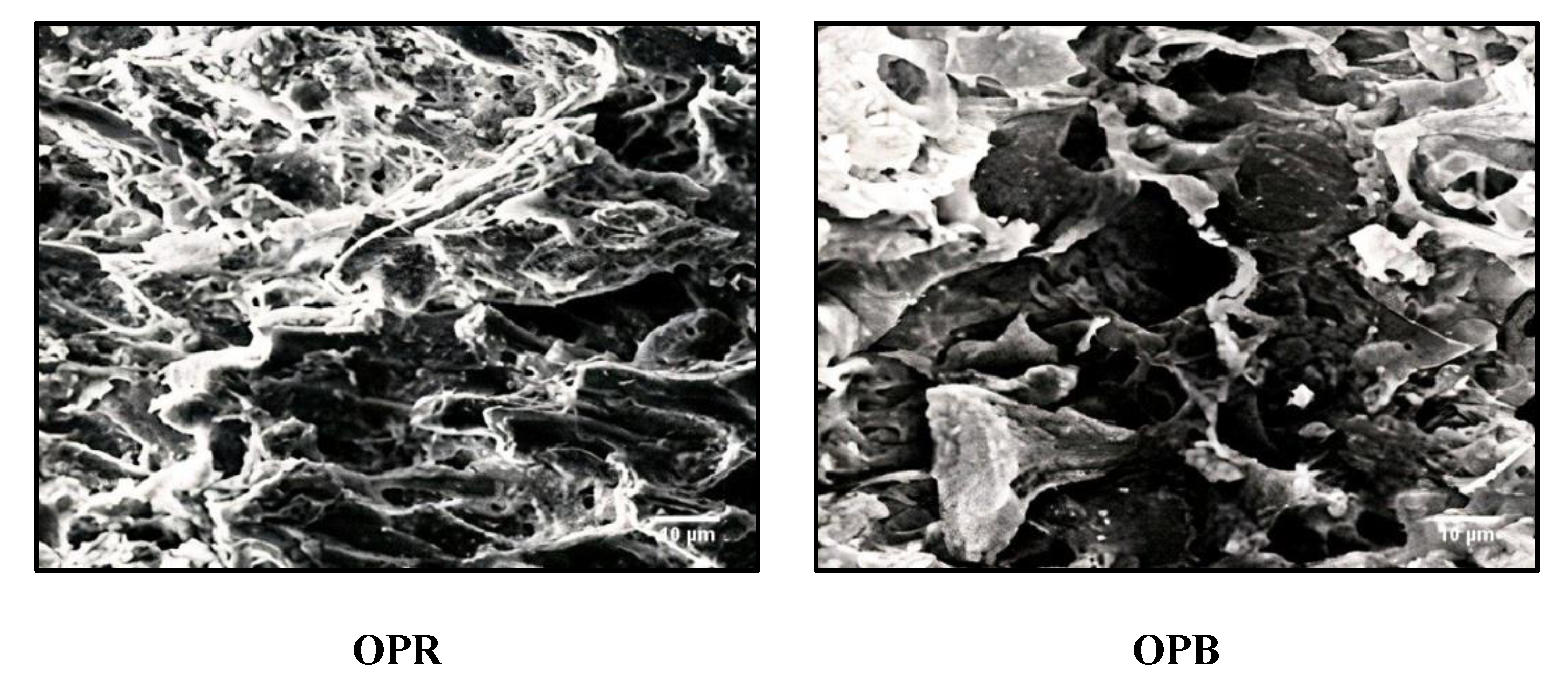 Molecules 28 04310 g001 Molecules 28 04310 g001