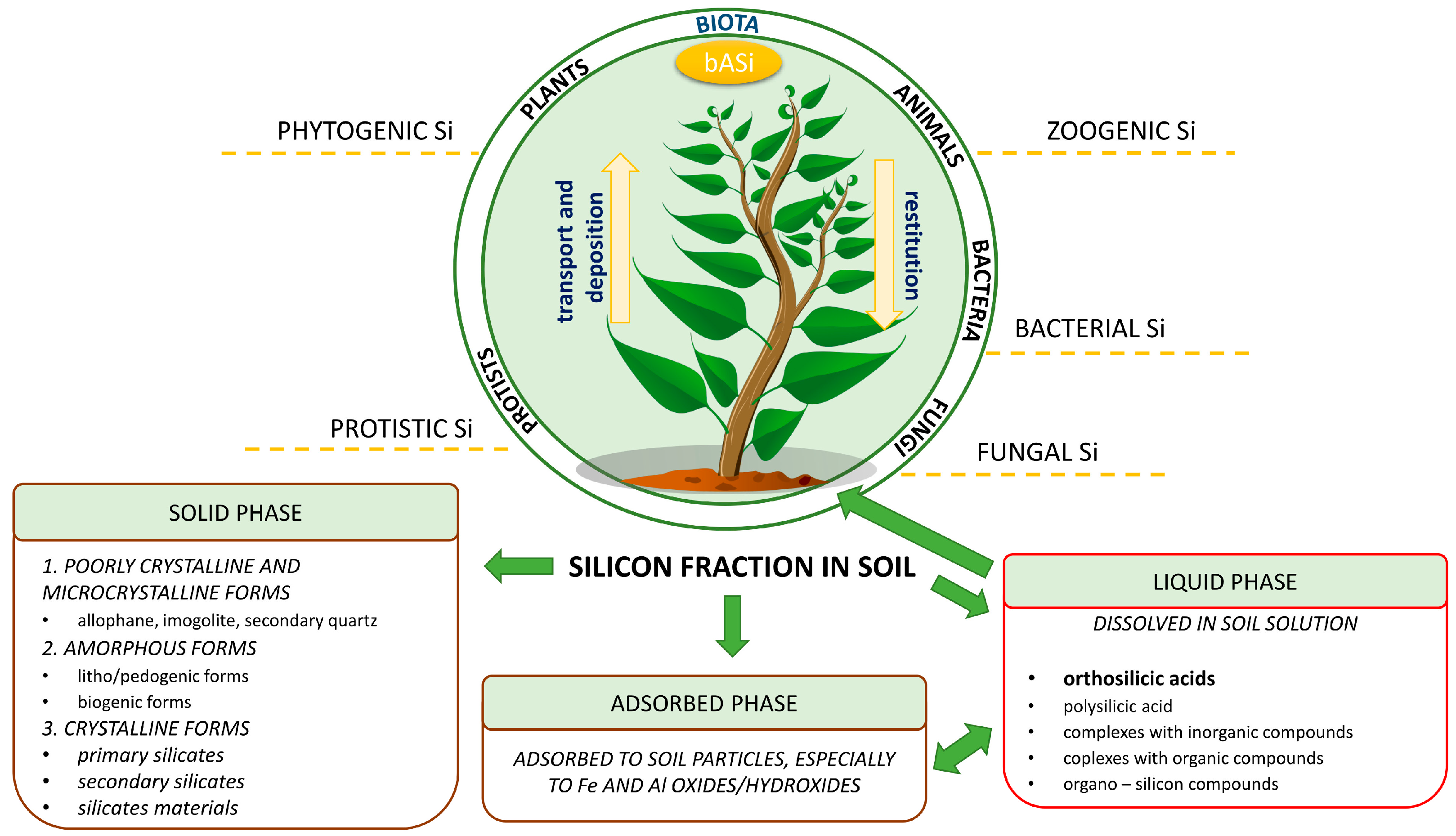 Molecules 28 04311 g001 Molecules 28 04311 g001