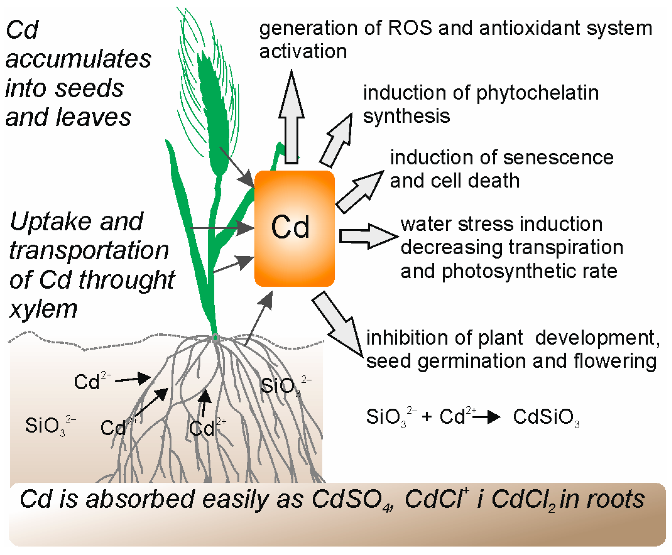 Molecules 28 04311 g003 Molecules 28 04311 g003