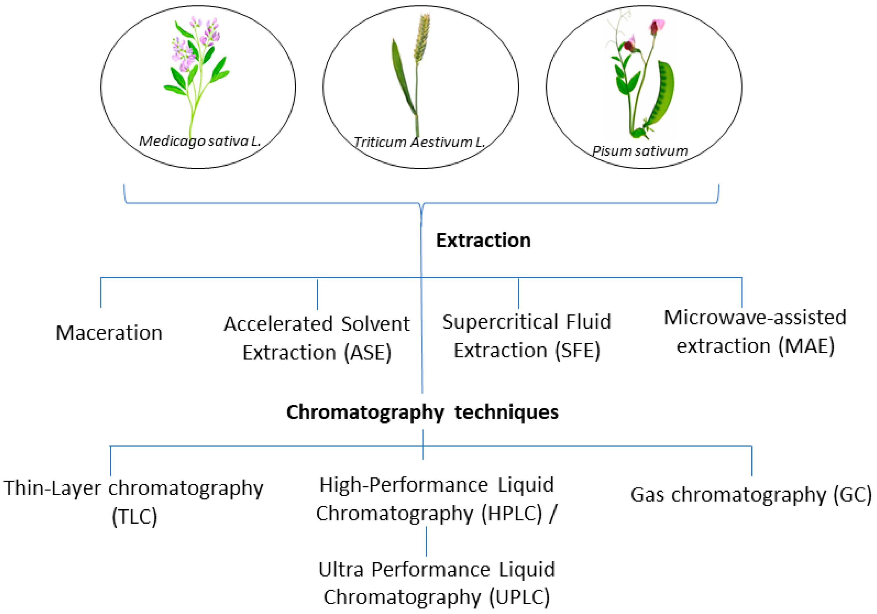 Molecules 28 04311 g004 Molecules 28 04311 g004