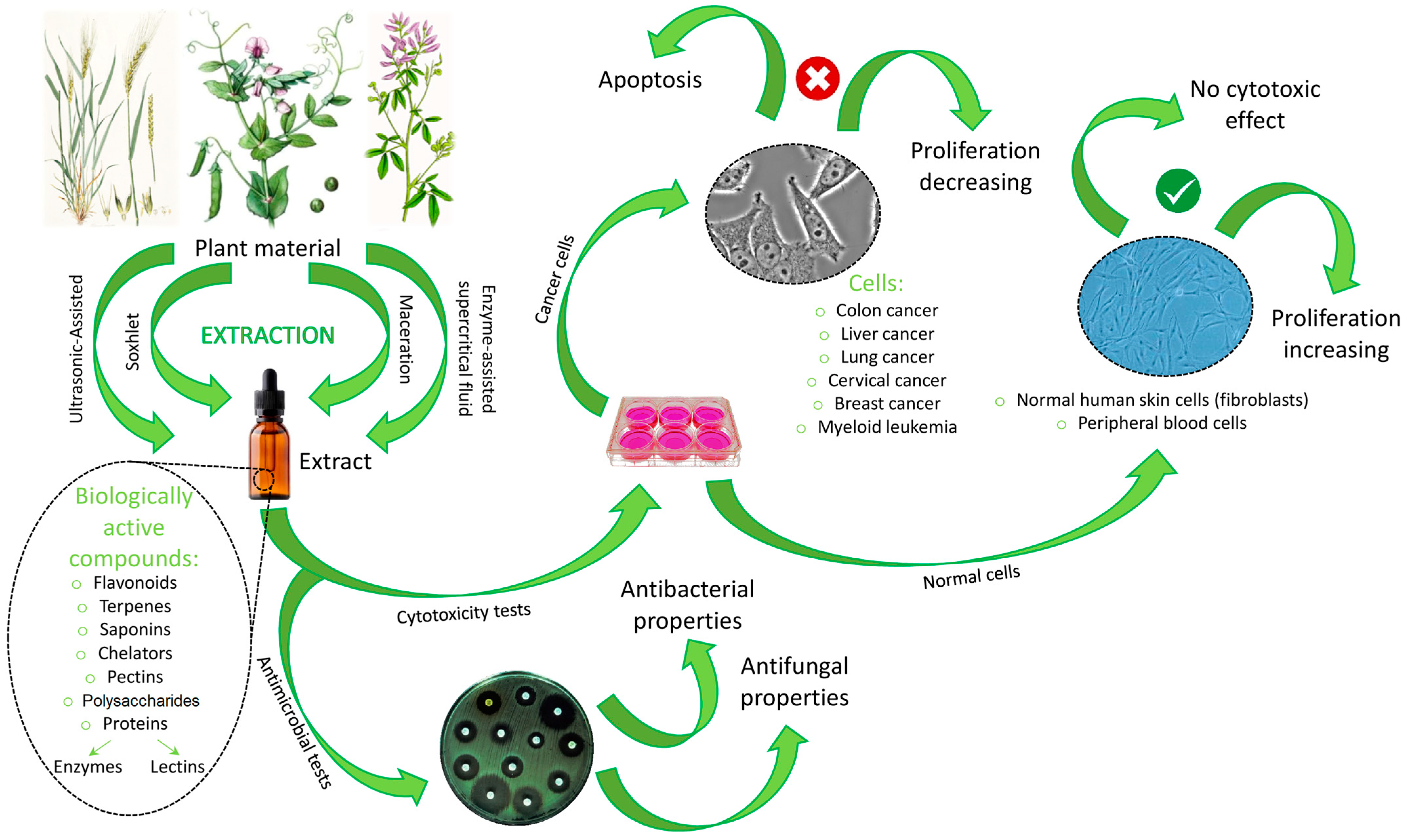 Molecules 28 04311 g006 Molecules 28 04311 g006