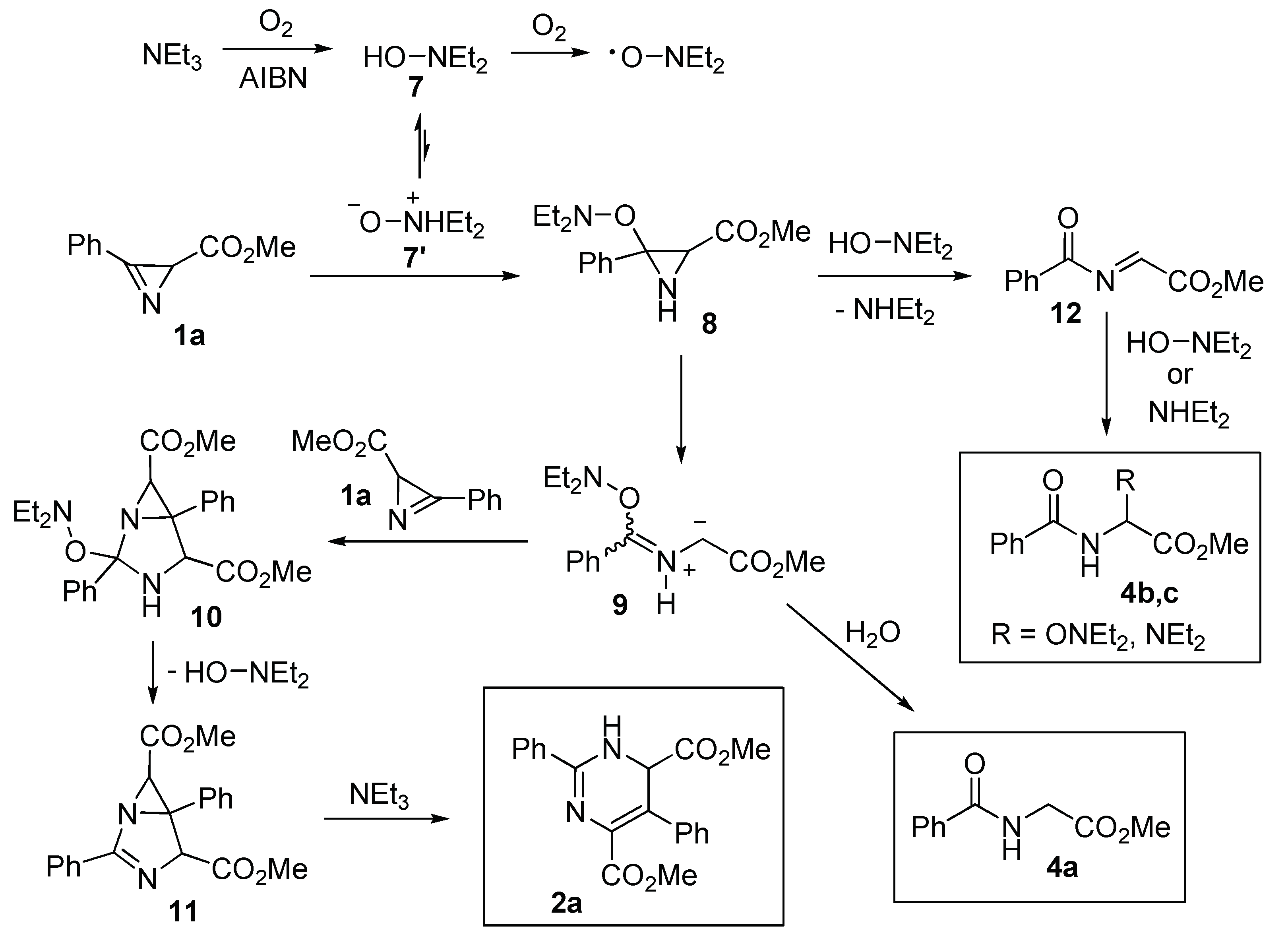 Molecules 28 04315 sch005