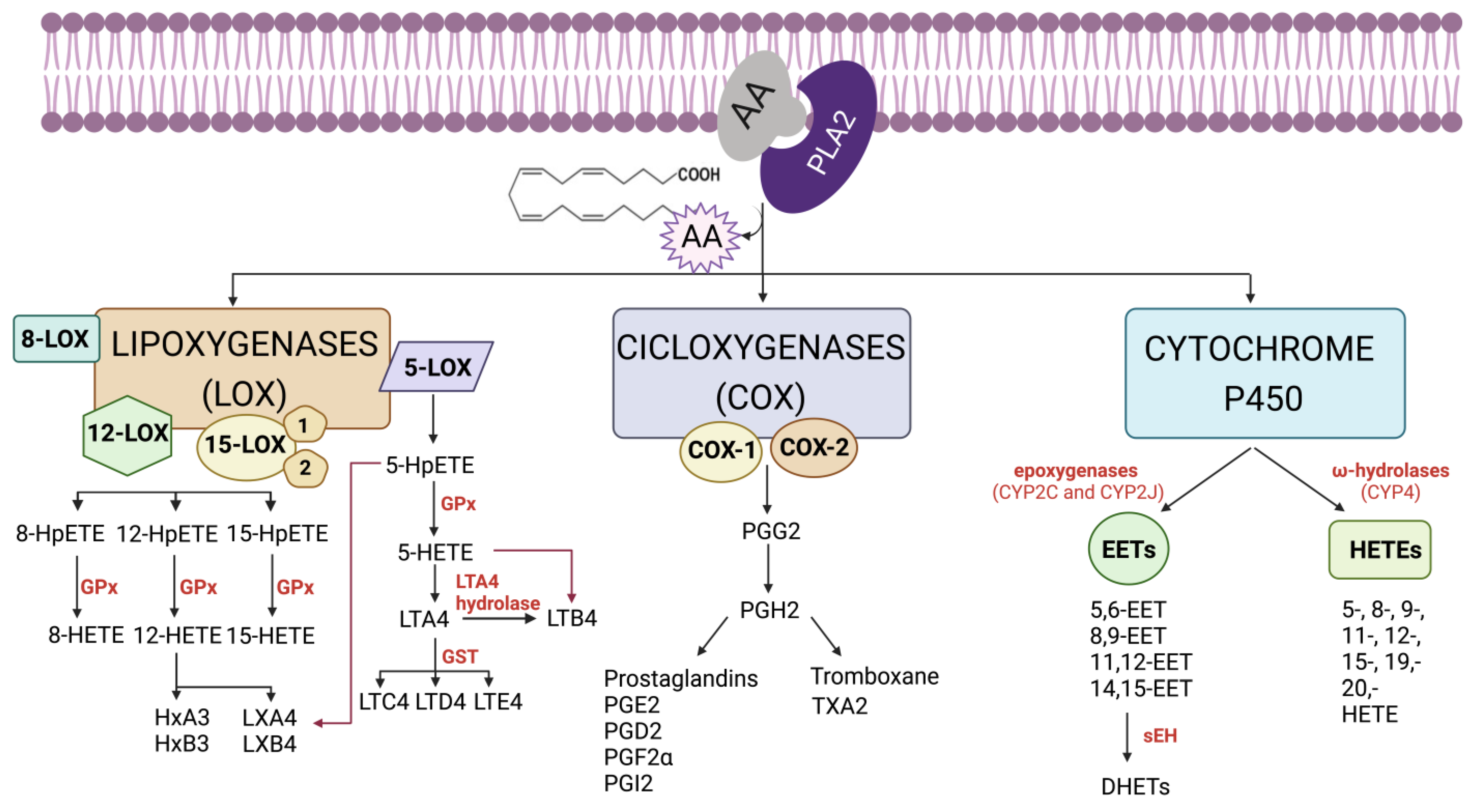Molecules 28 04316 g001 Molecules 28 04316 g001