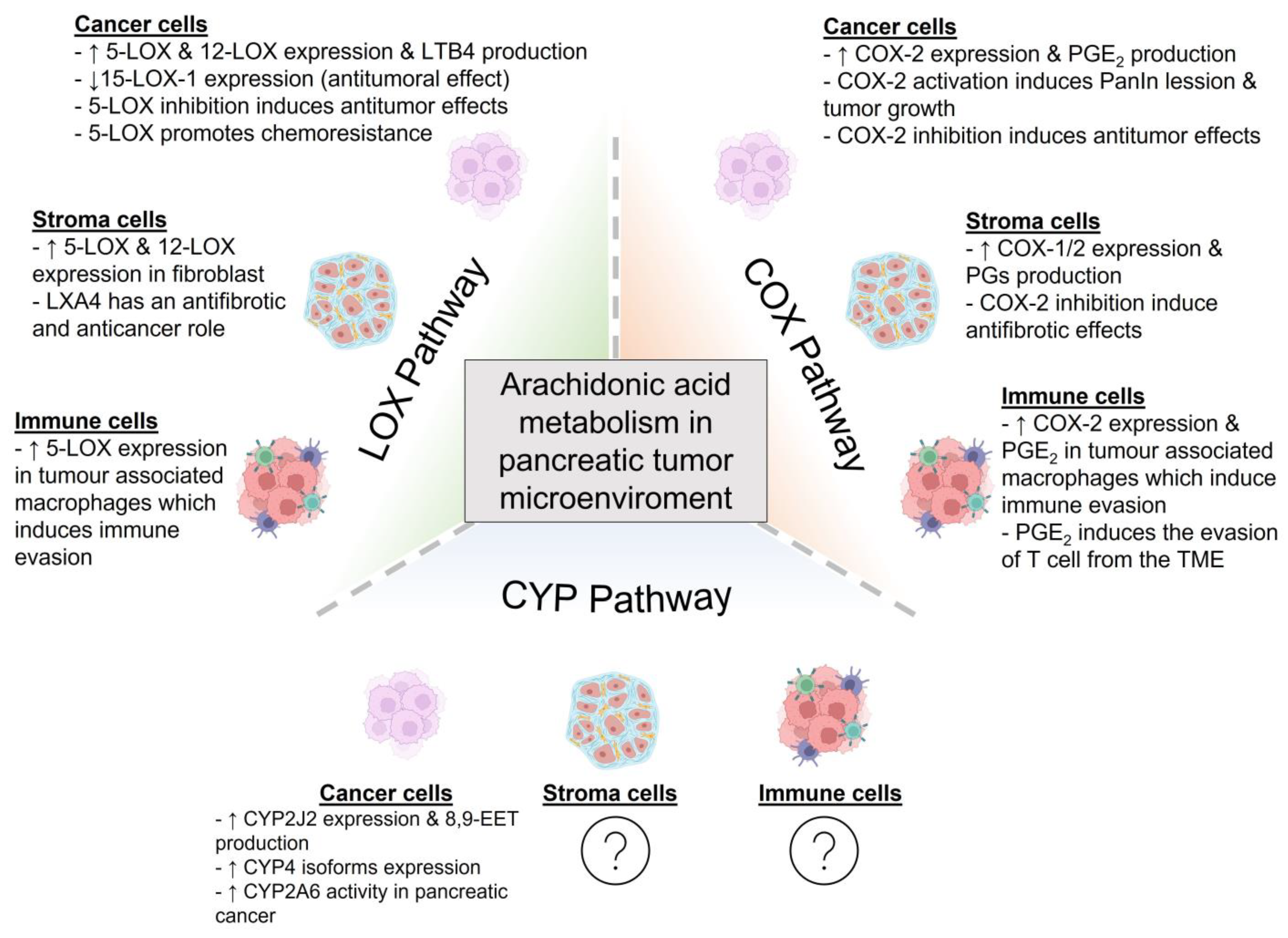 Molecules 28 04316 g002 Molecules 28 04316 g002