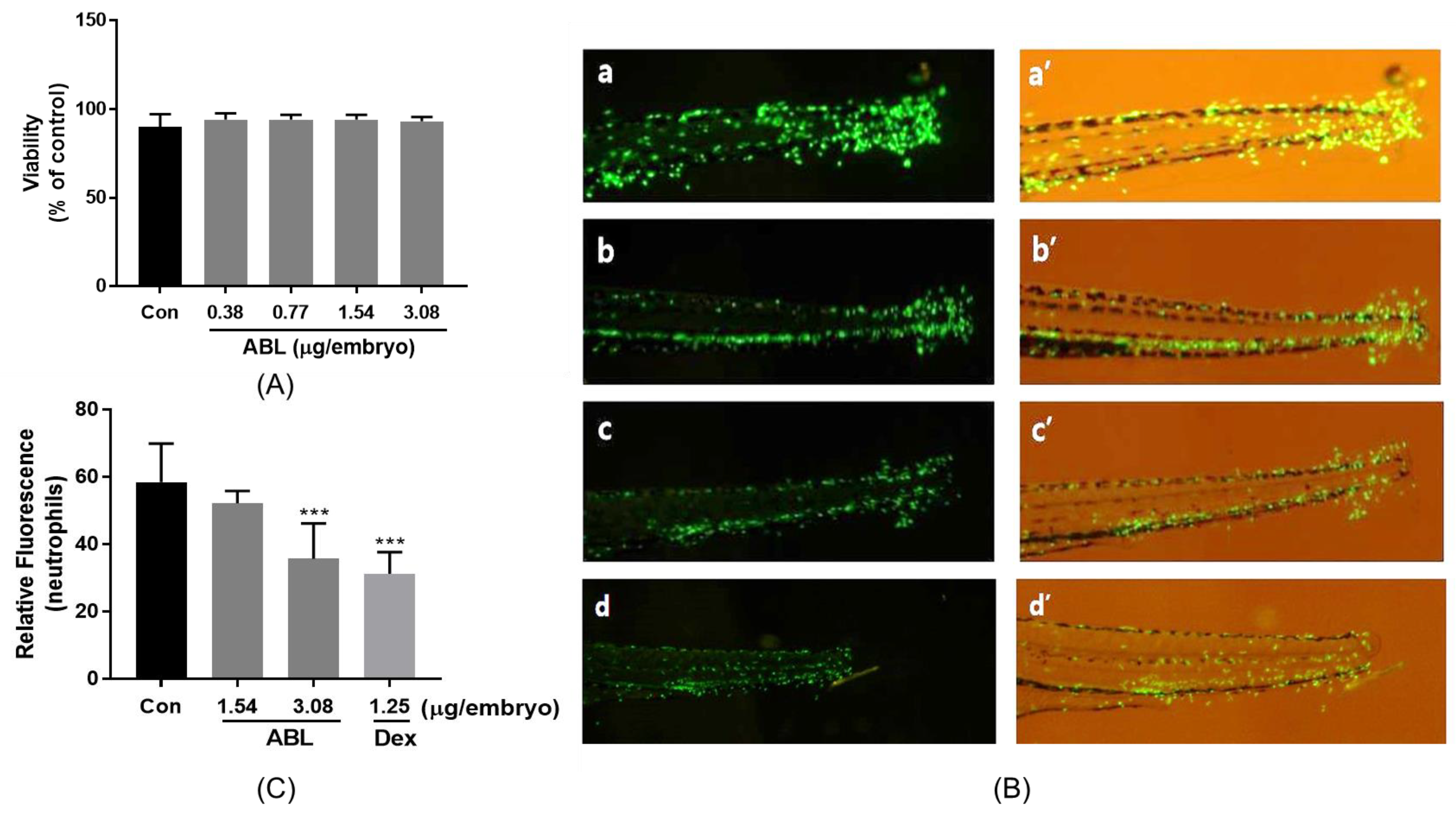 Molecules 28 04320 g004 Molecules 28 04320 g004