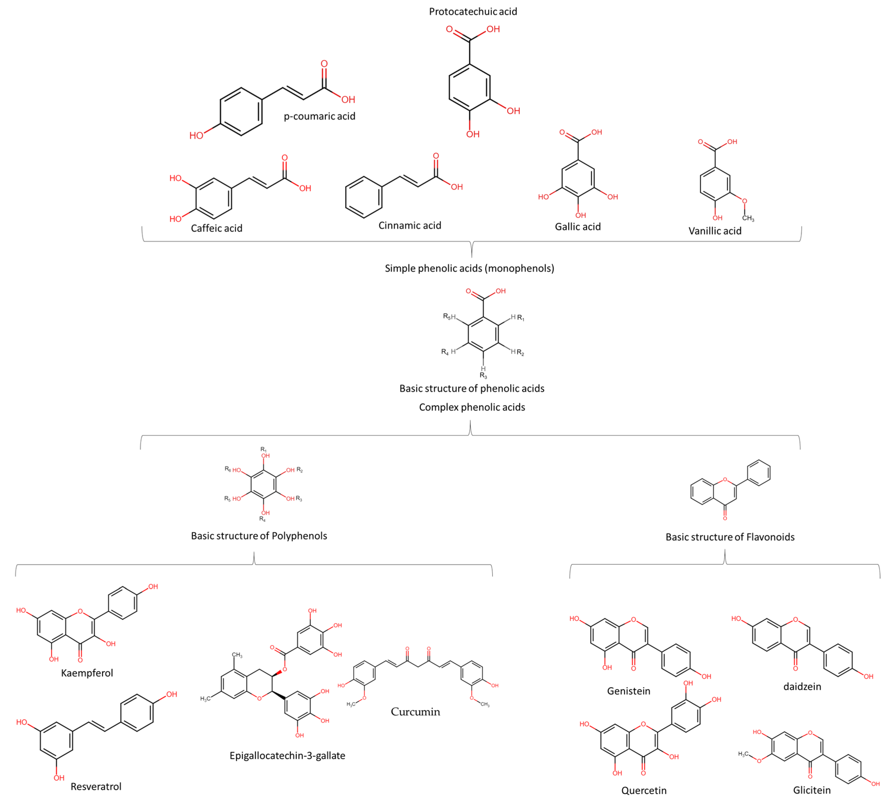 Molecules 28 04322 g001