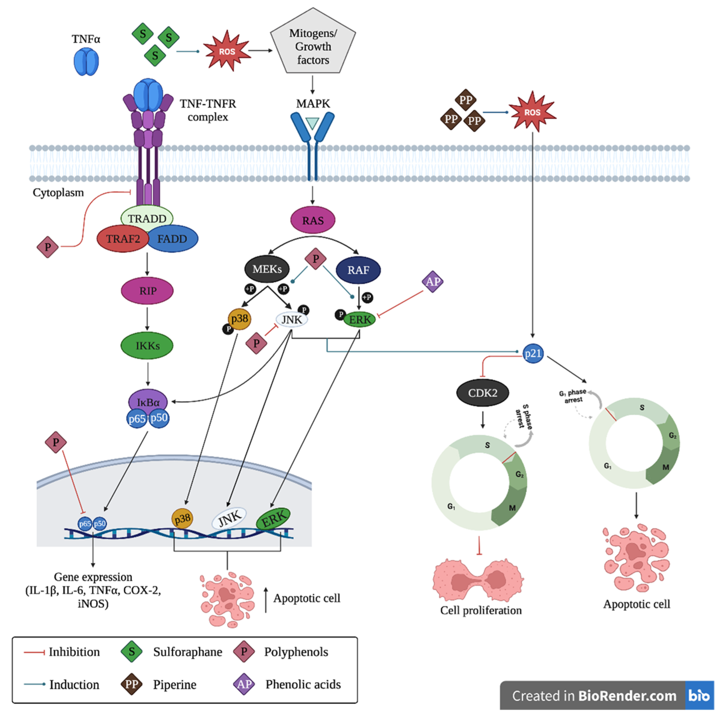 Molecules 28 04322 g002