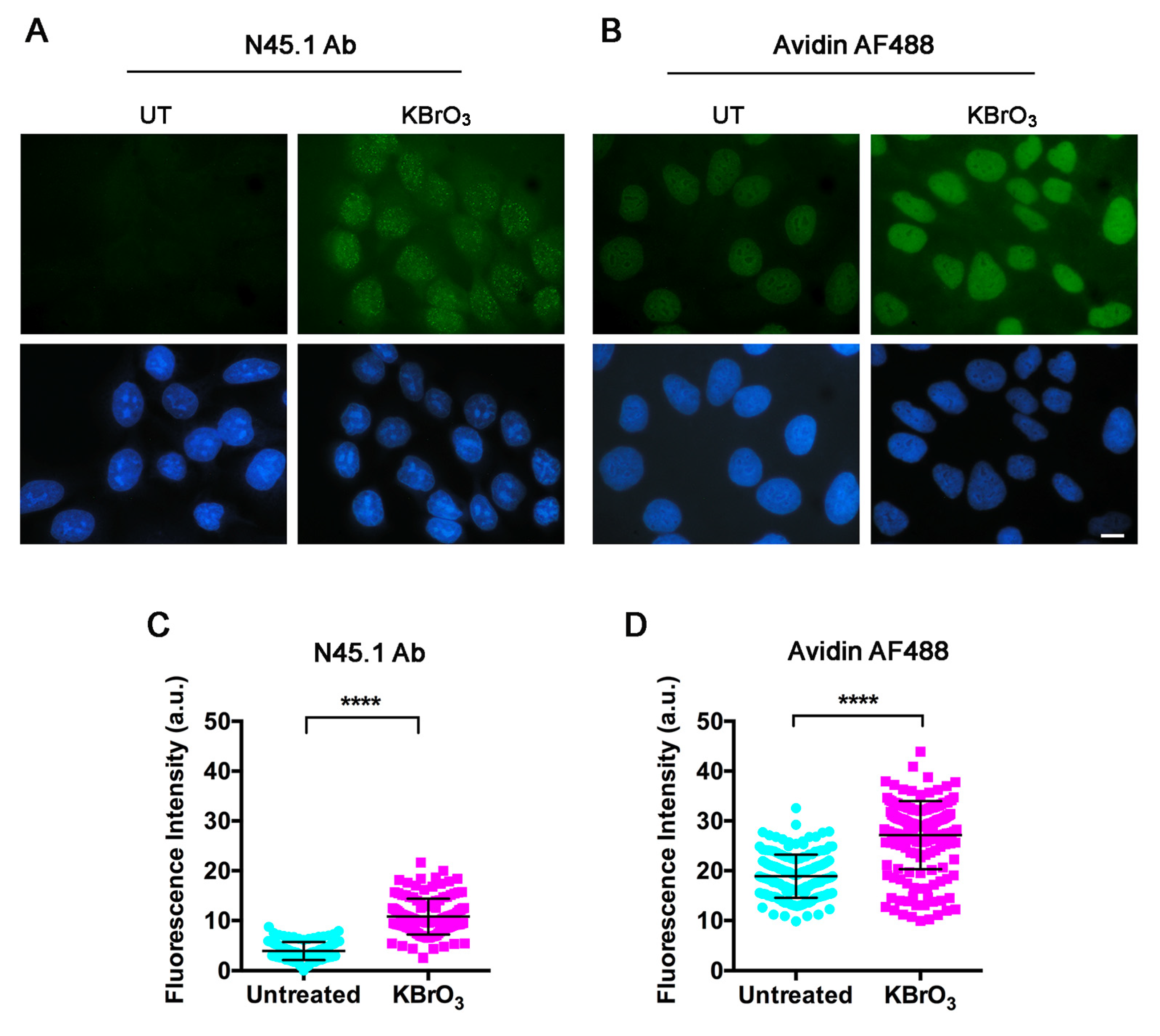 Molecules 28 04326 g002 Molecules 28 04326 g002