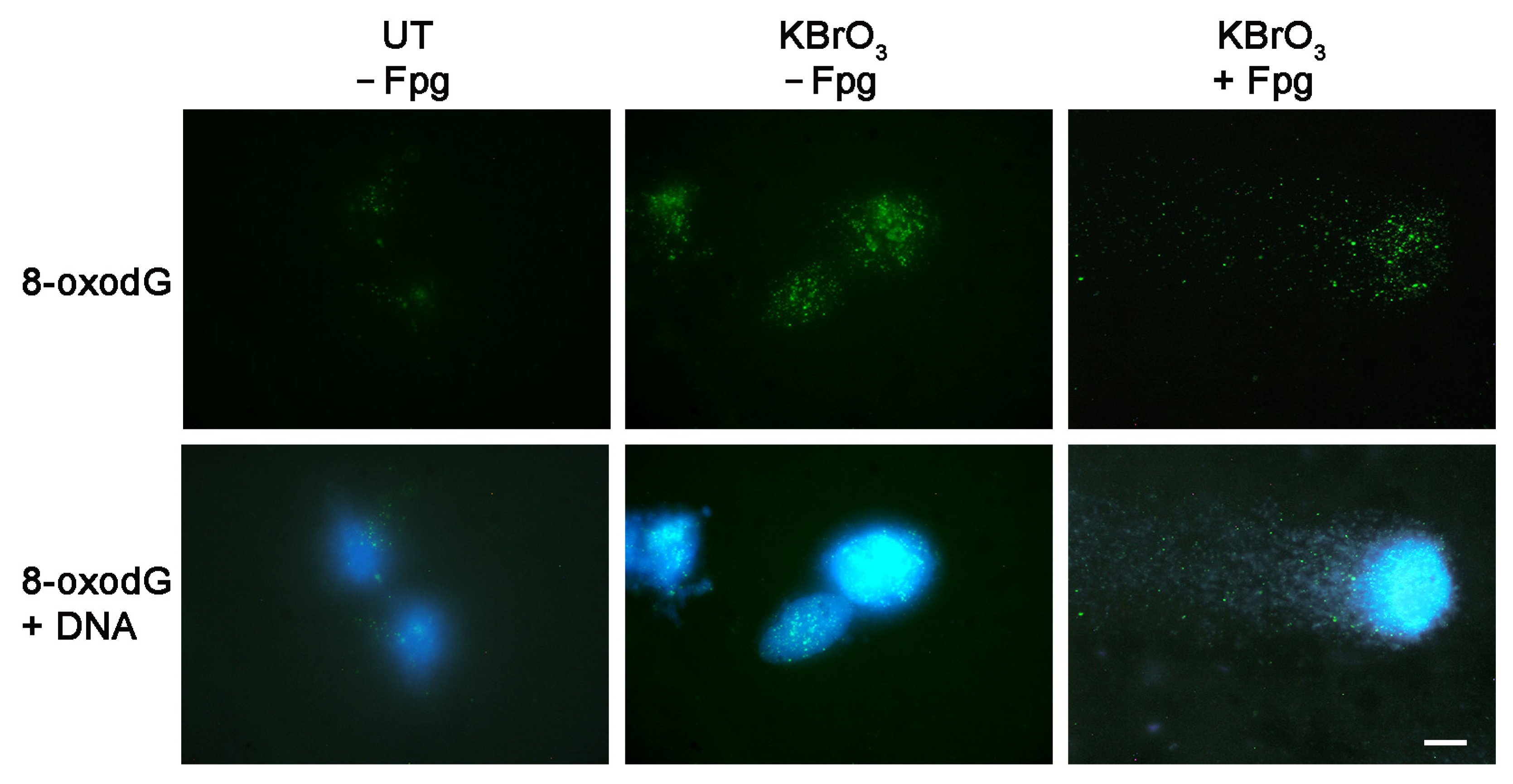 Molecules 28 04326 g006 Molecules 28 04326 g006