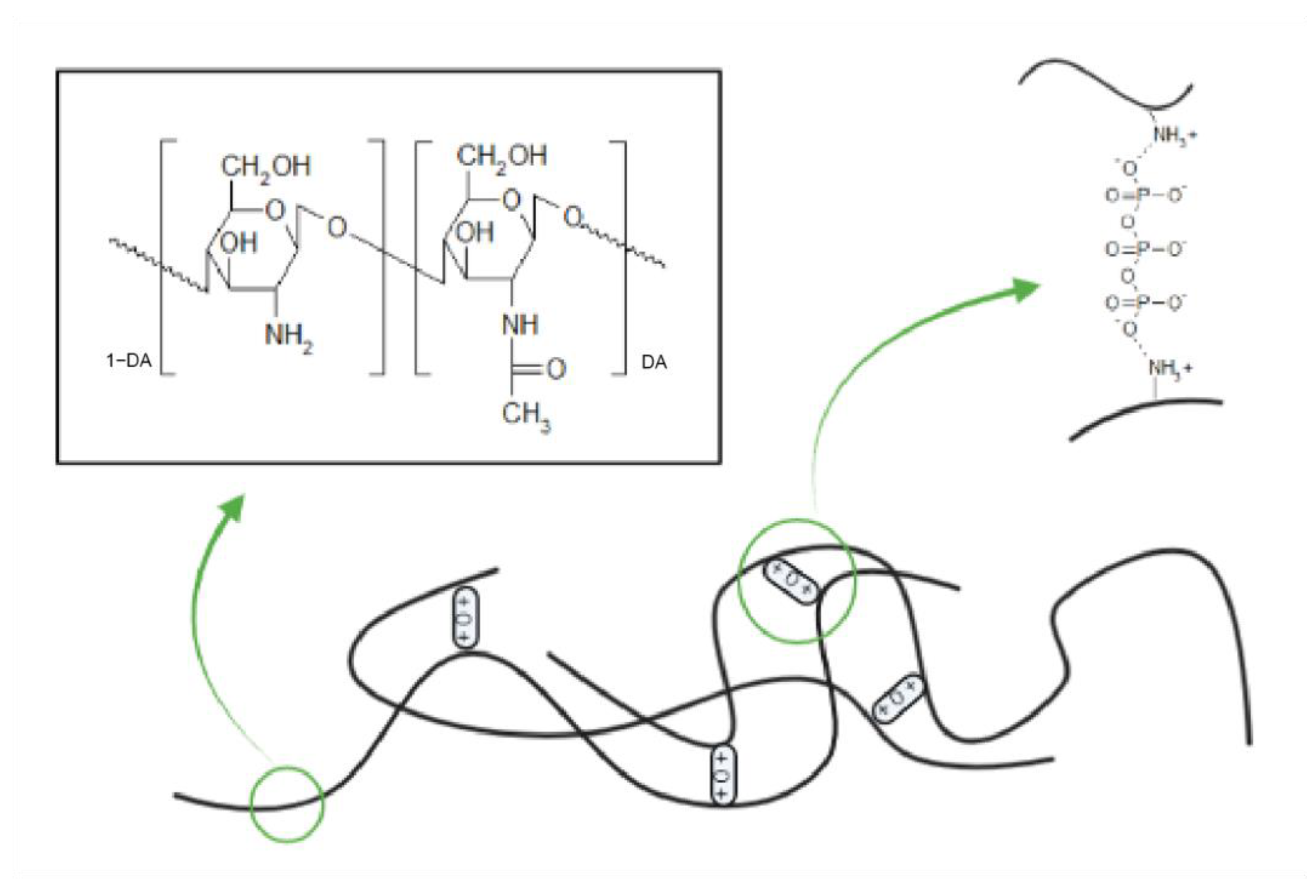 Molecules 28 04328 g001