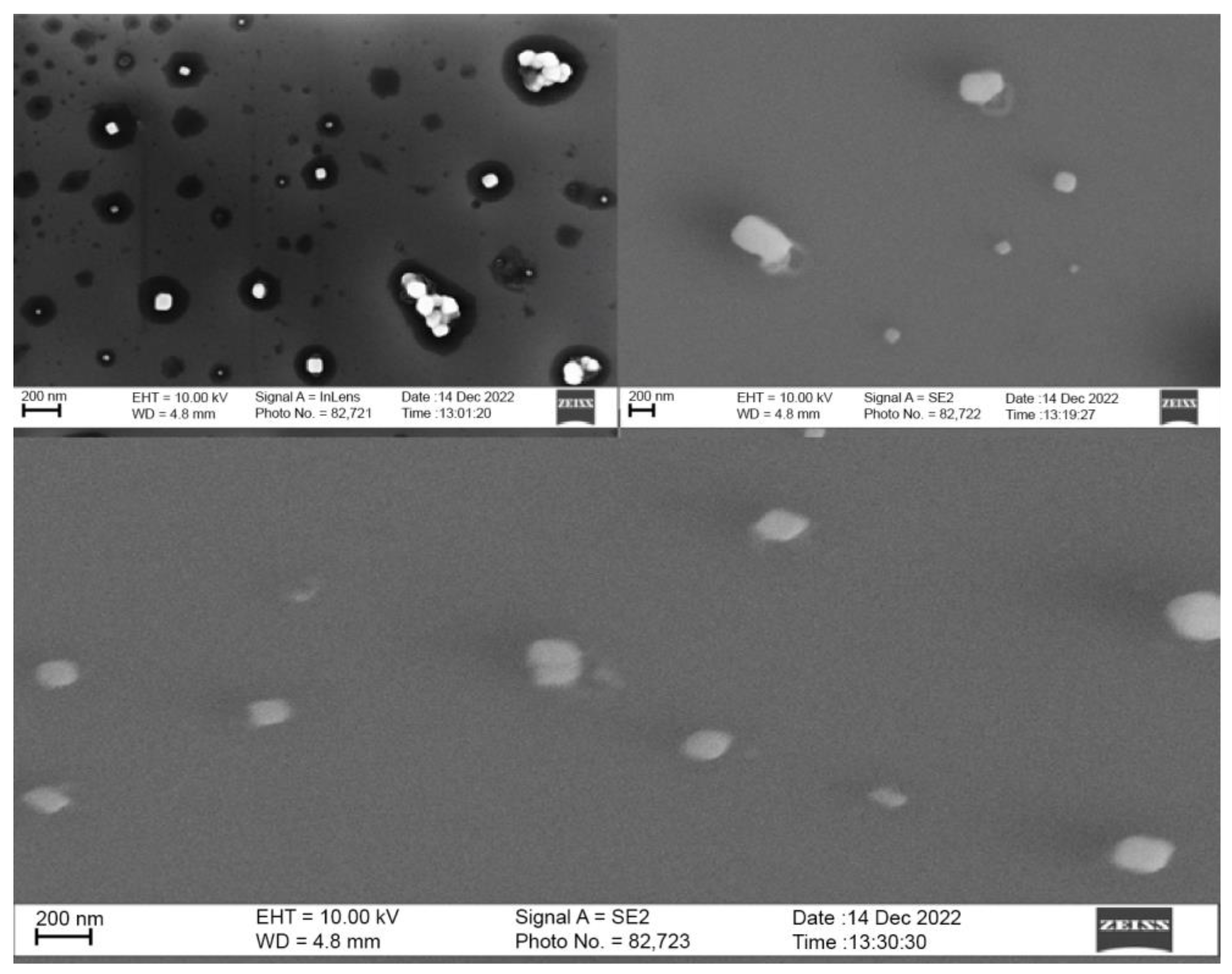 Molecules 28 04328 g008