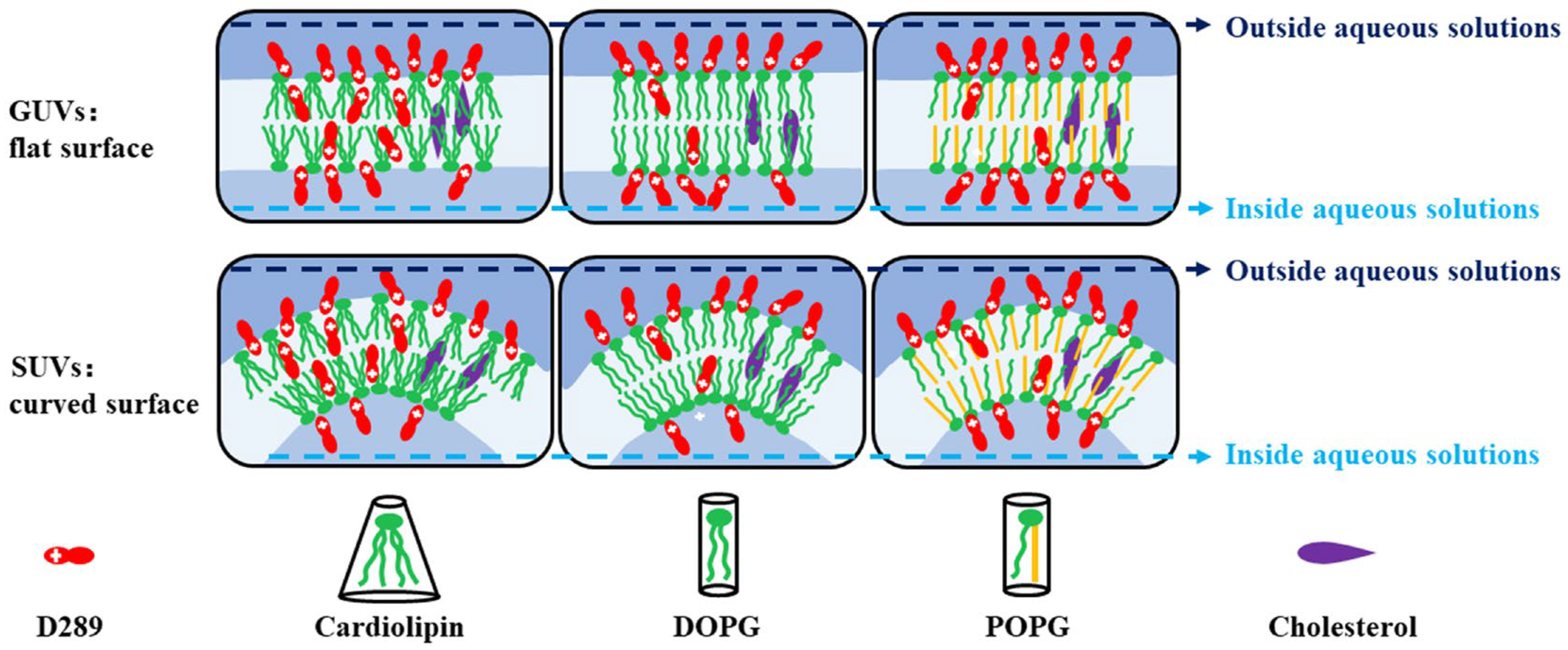Molecules 28 04330 sch002 Molecules 28 04330 sch002