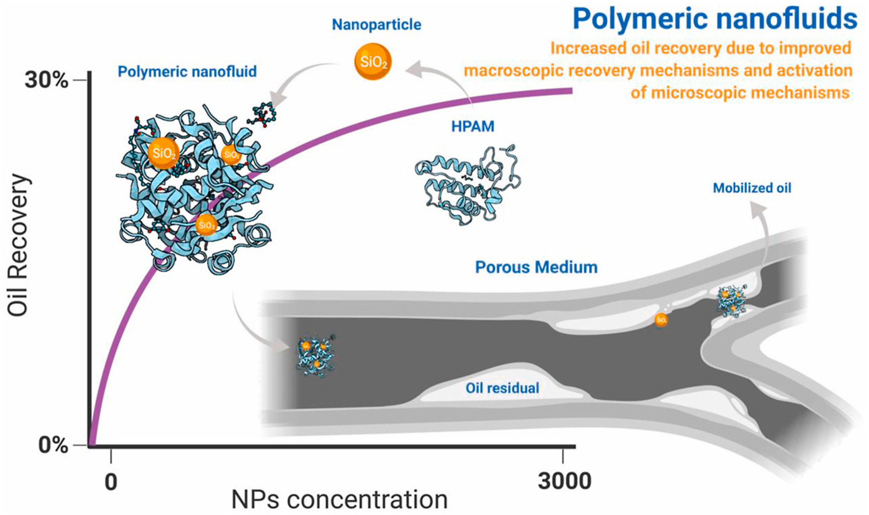 Molecules 28 04331 g003 Molecules 28 04331 g003
