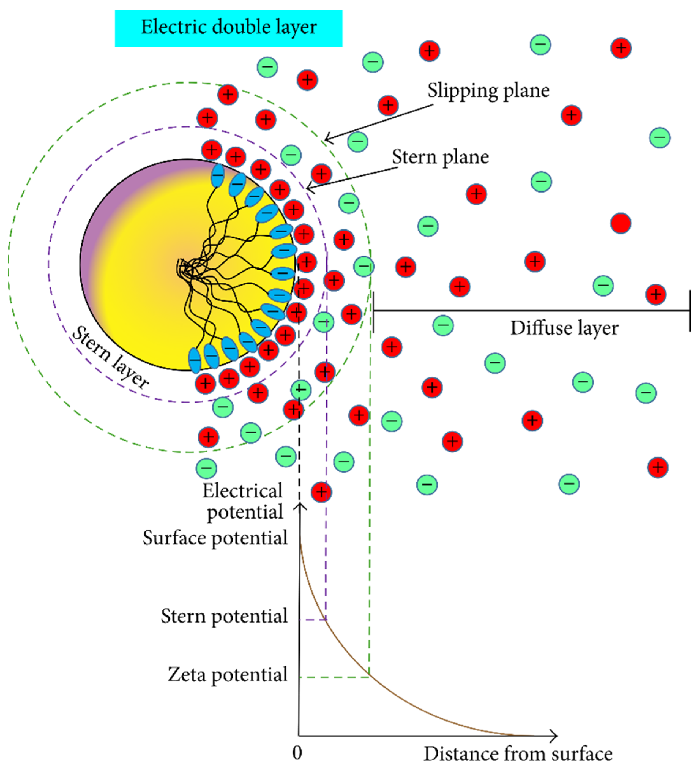 Molecules 28 04331 g015 Molecules 28 04331 g015