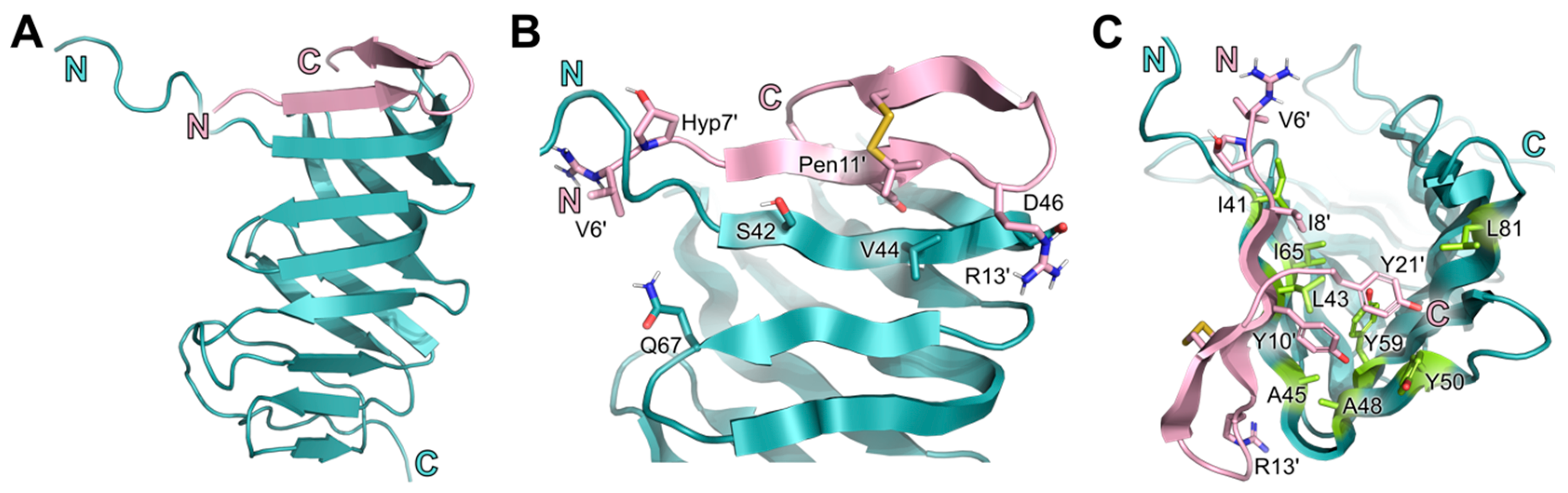 Molecules 28 04335 g004 Molecules 28 04335 g004