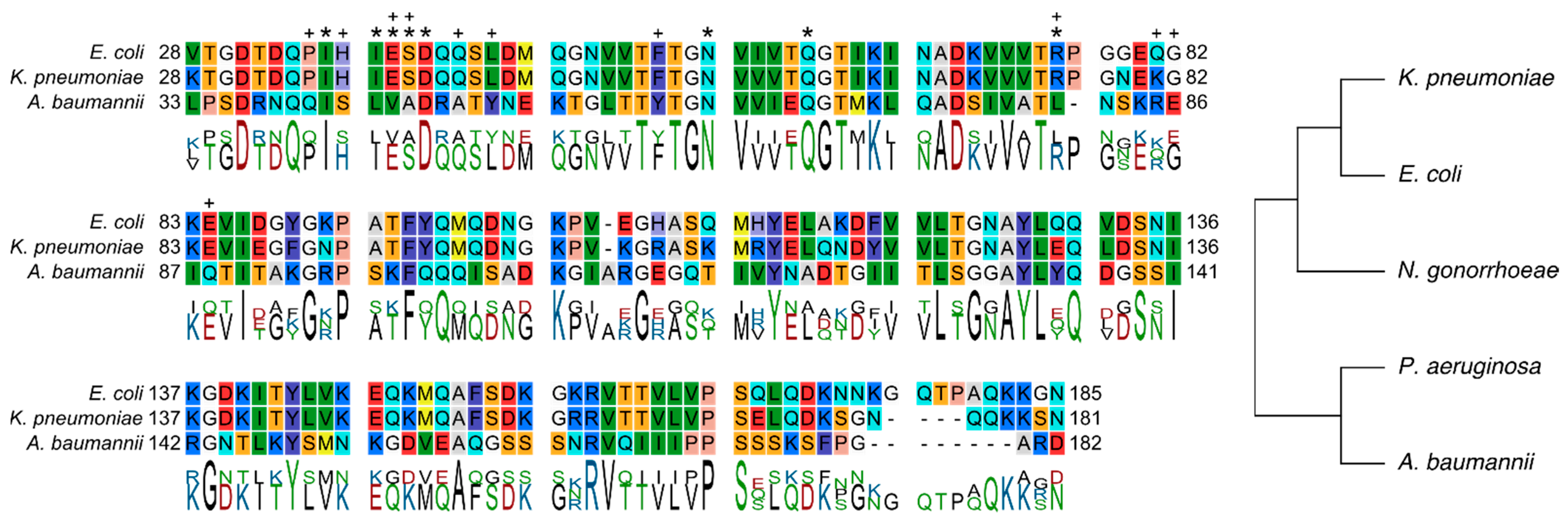 Molecules 28 04335 g006 Molecules 28 04335 g006