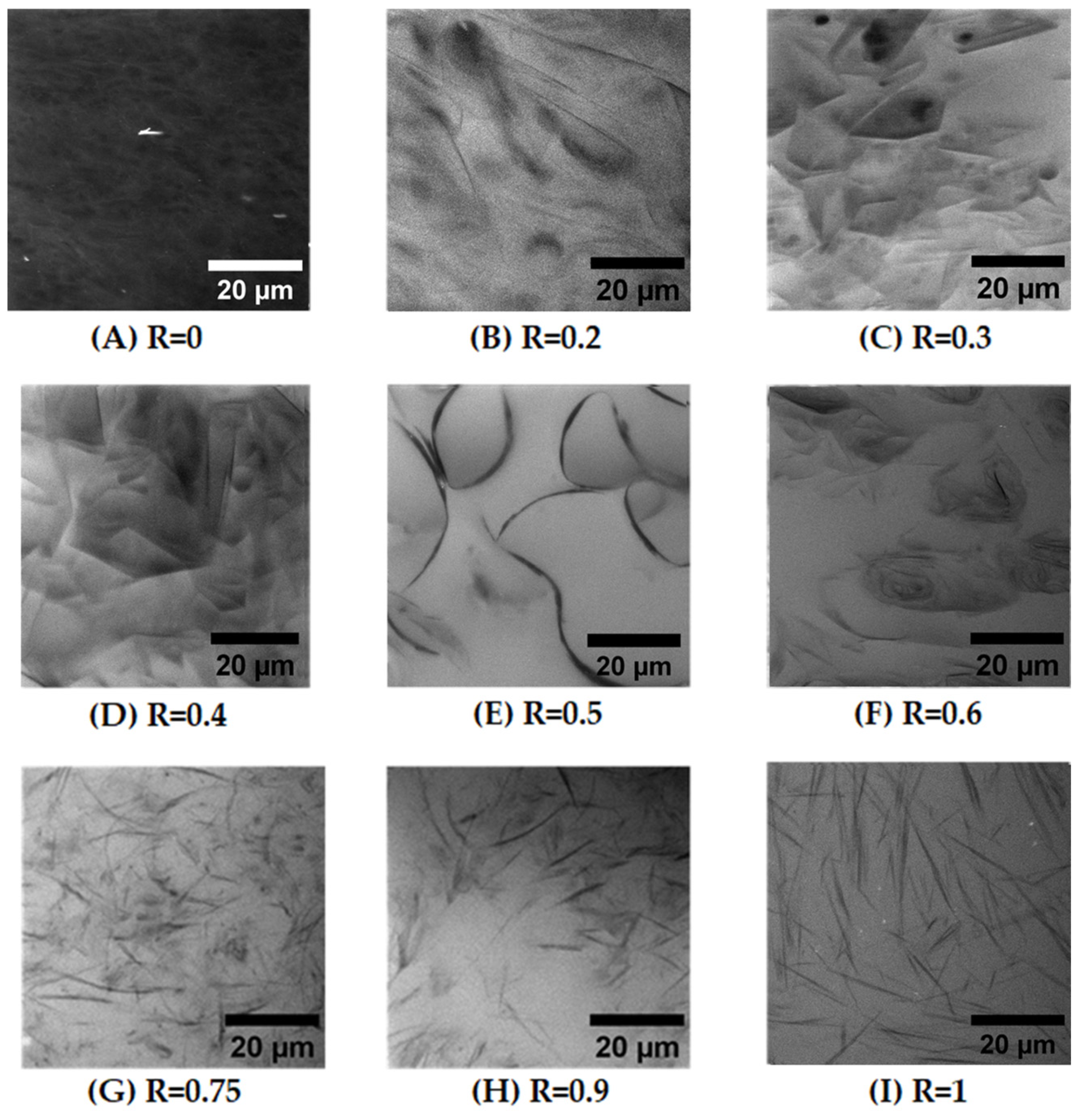 Molecules 28 04336 g003