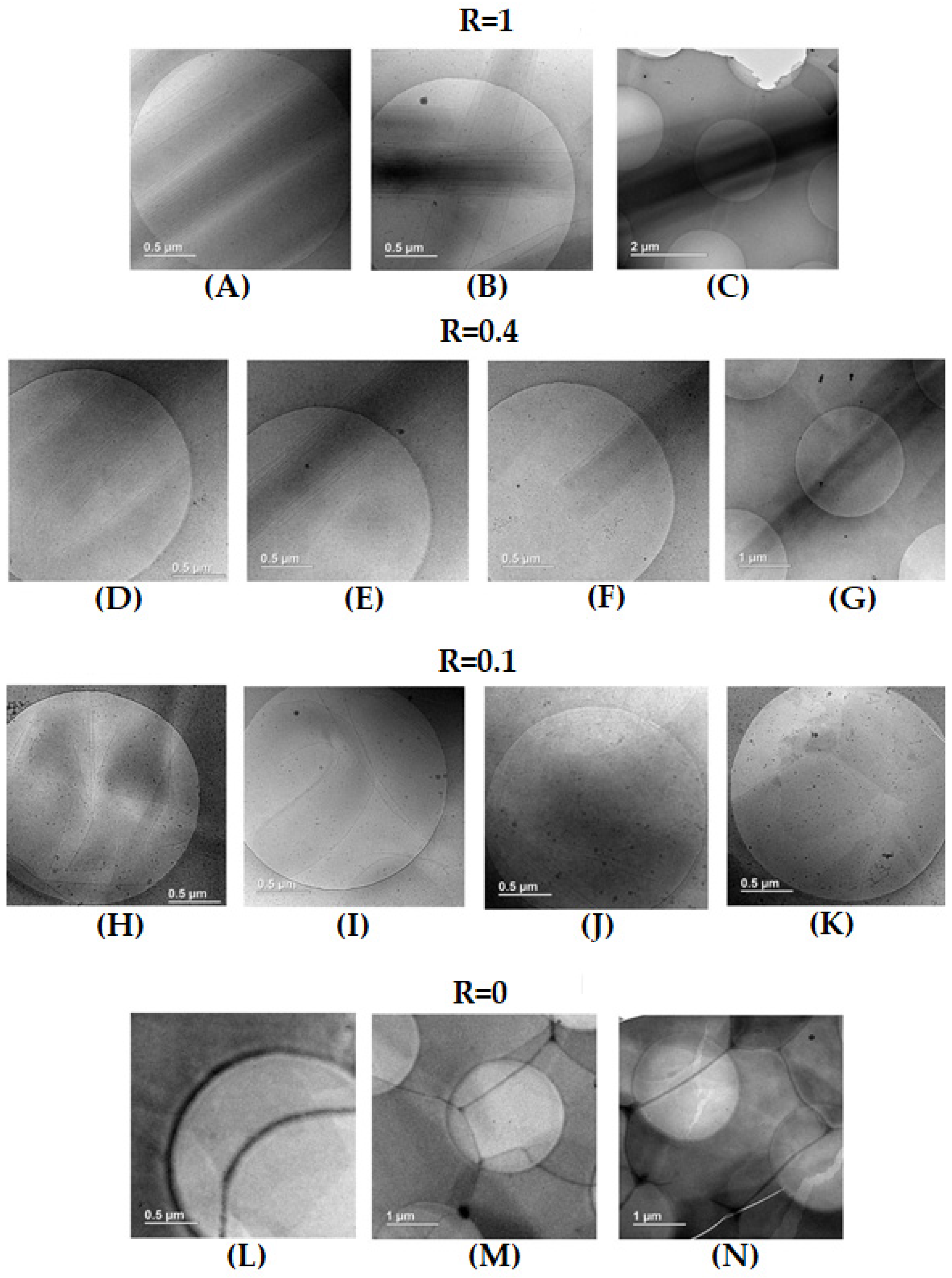 Molecules 28 04336 g004