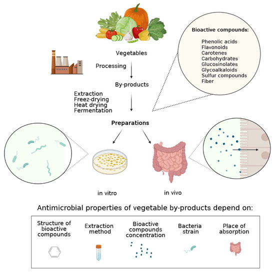 Side Streams of Vegetable Processing and Its Bioactive