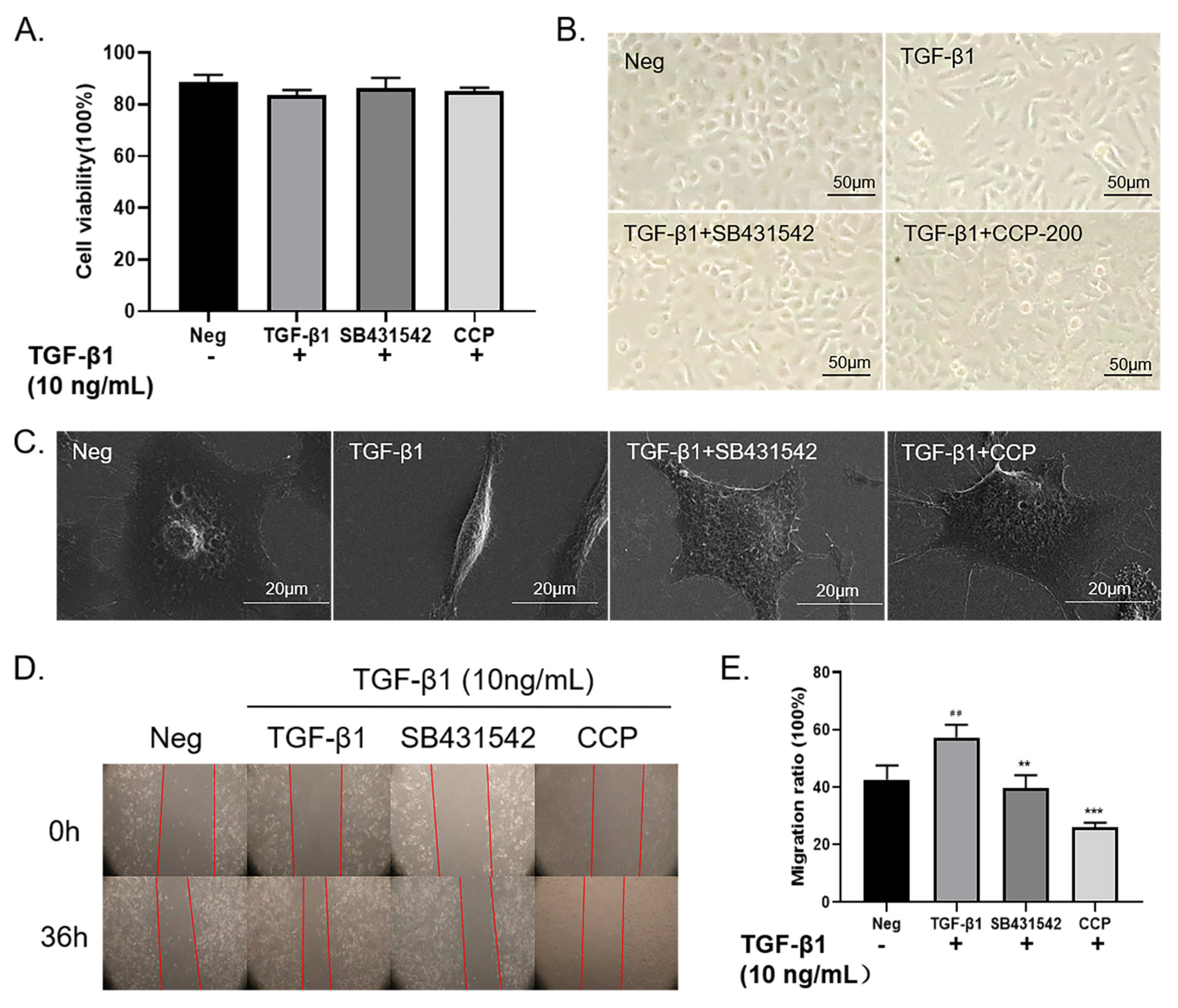 Molecules 28 04343 g003