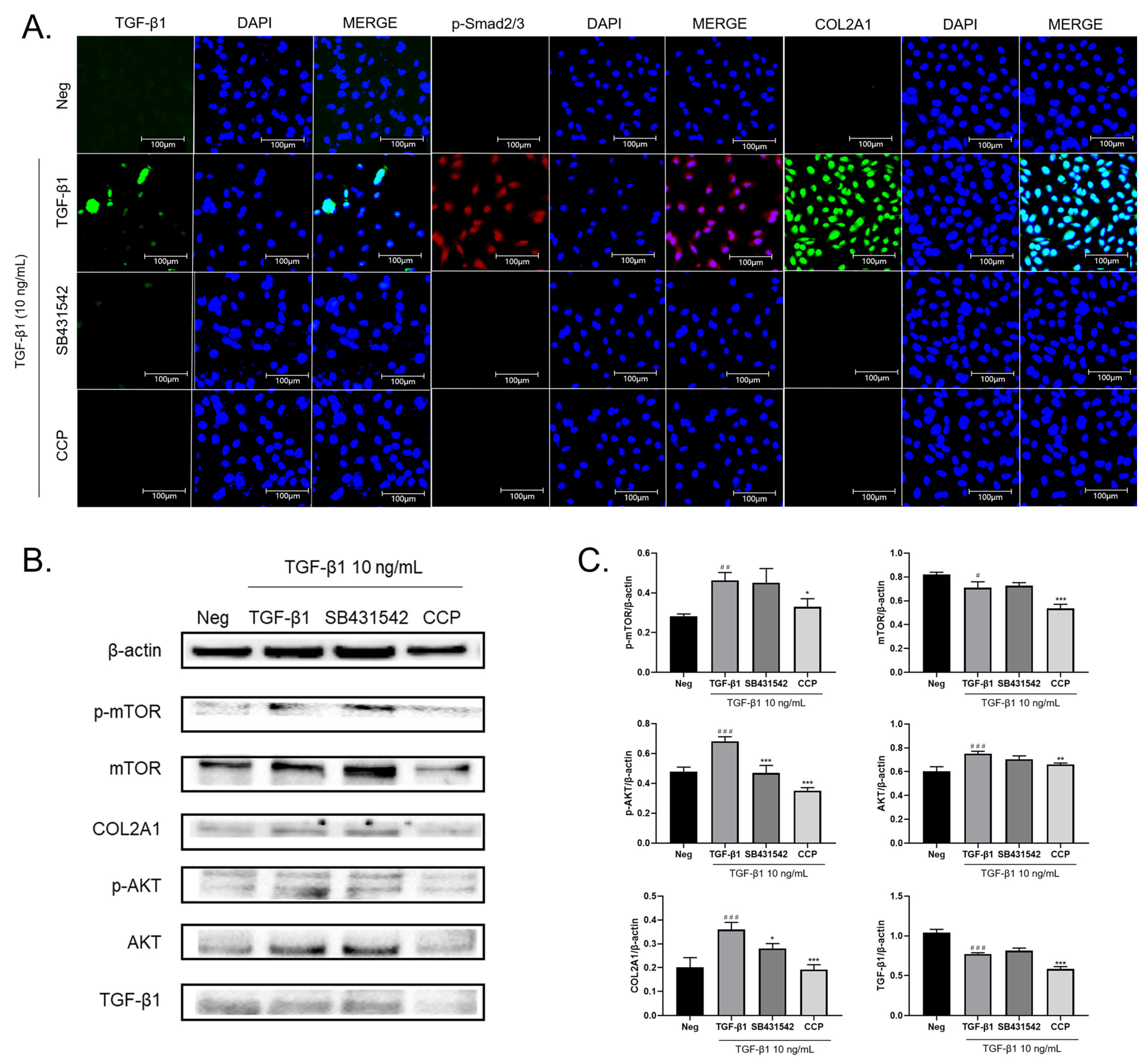 Molecules 28 04343 g004