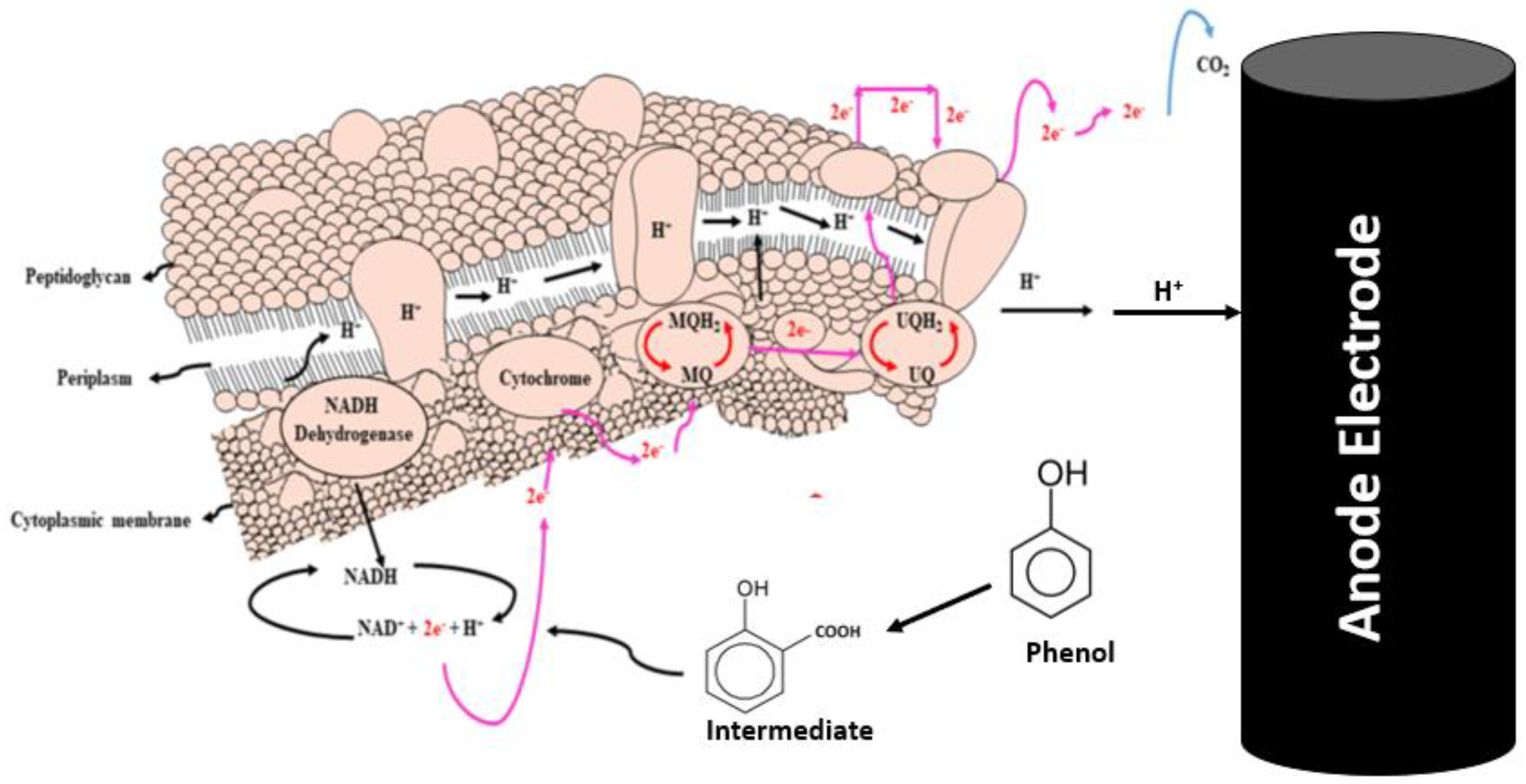 Molecules 28 04349 g006 Molecules 28 04349 g006
