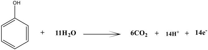 Molecules 28 04349 i001 Molecules 28 04349 i001