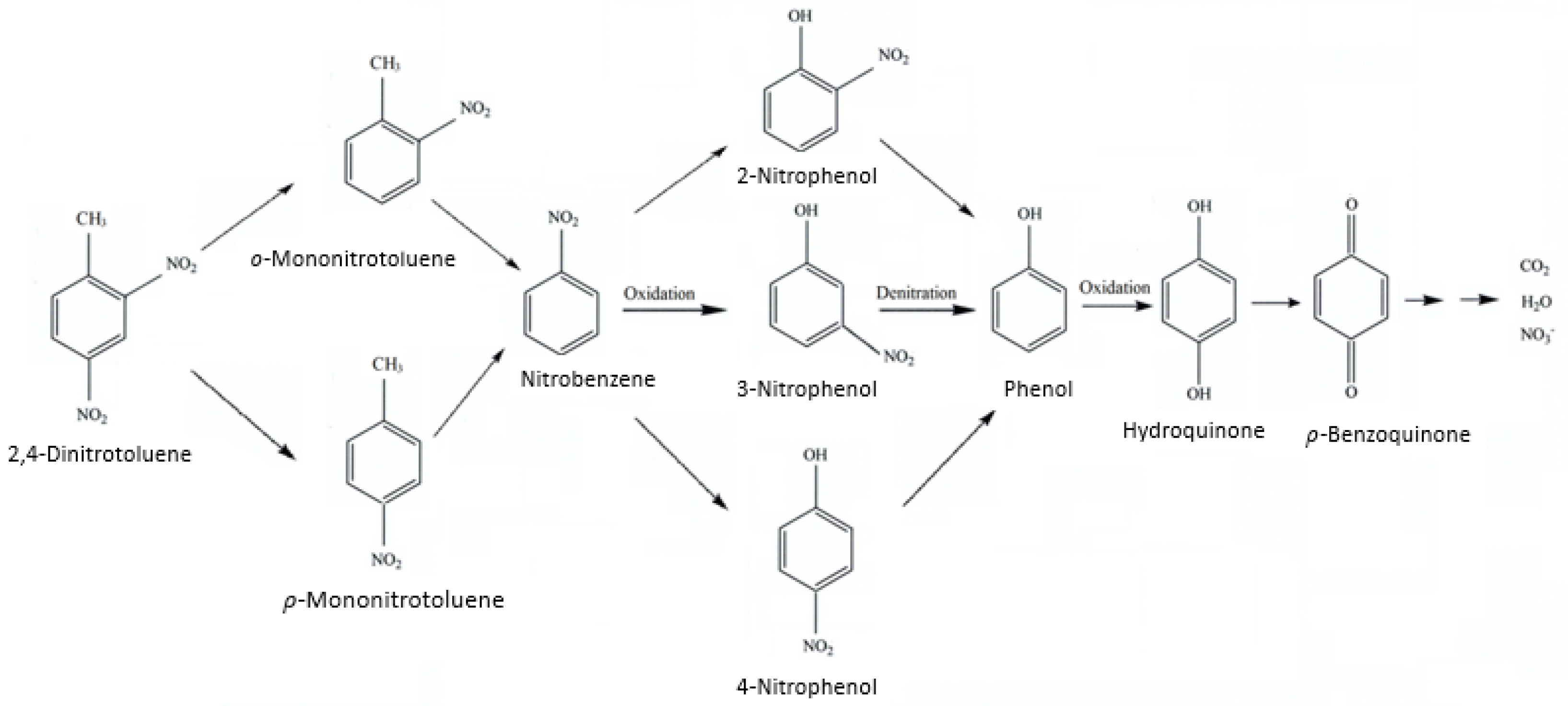 Molecules 28 04351 g011 Molecules 28 04351 g011