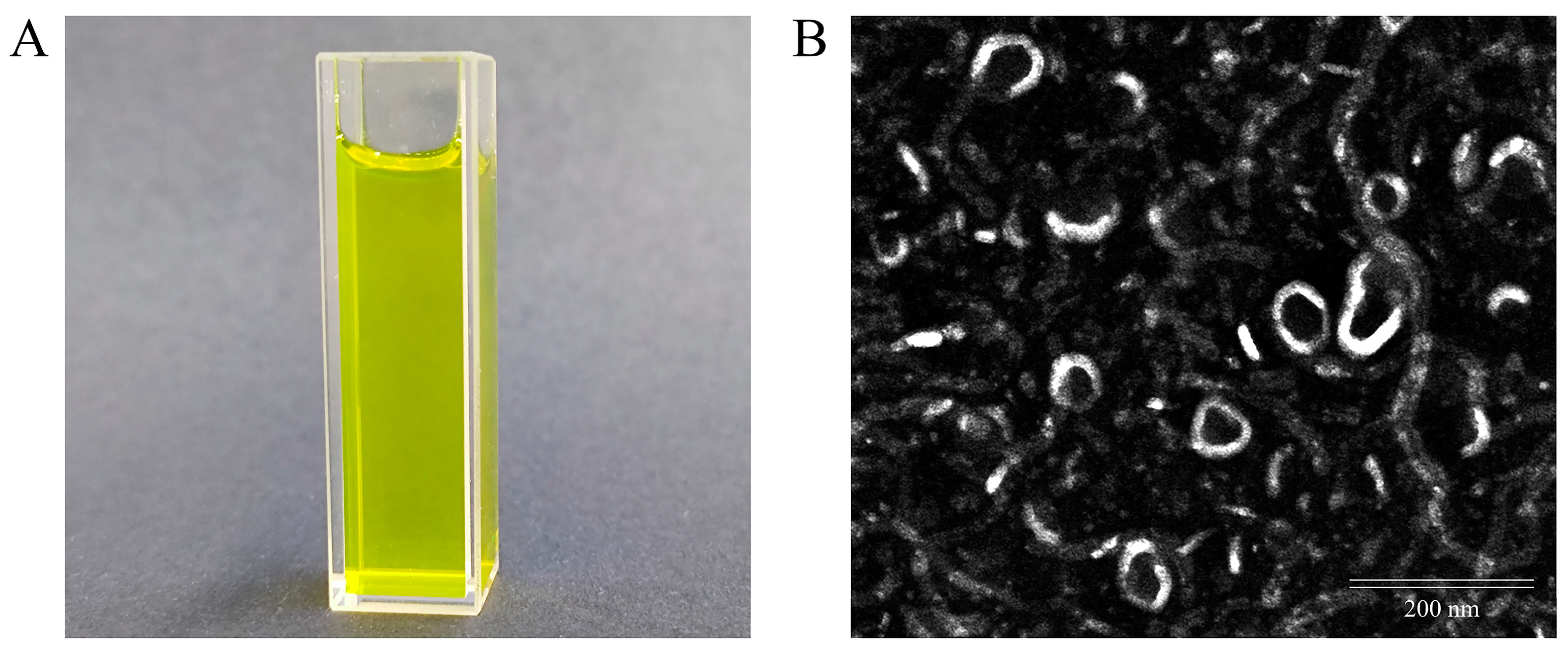 Molecules 28 04353 g002 Molecules 28 04353 g002