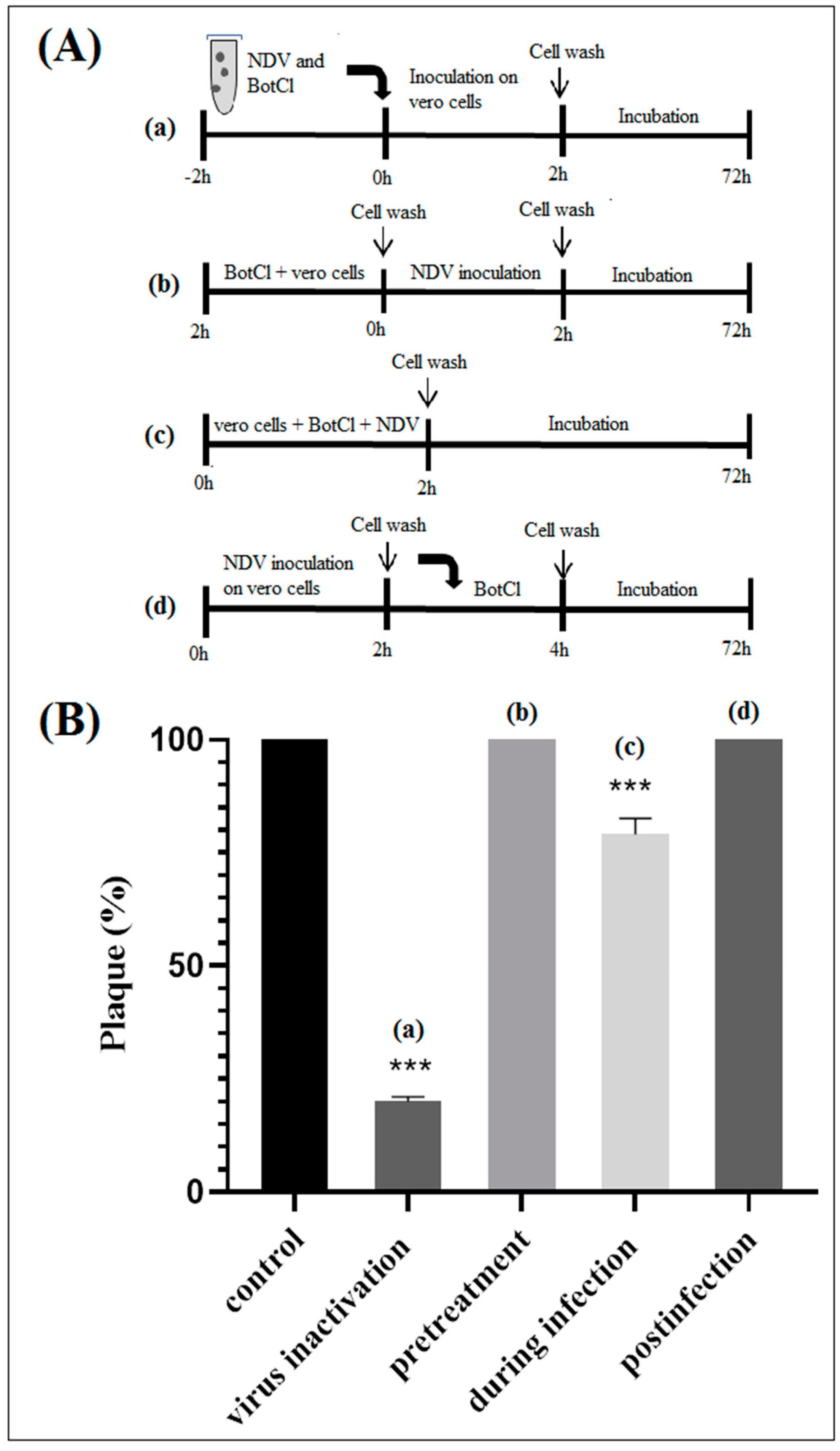 Molecules 28 04355 g005