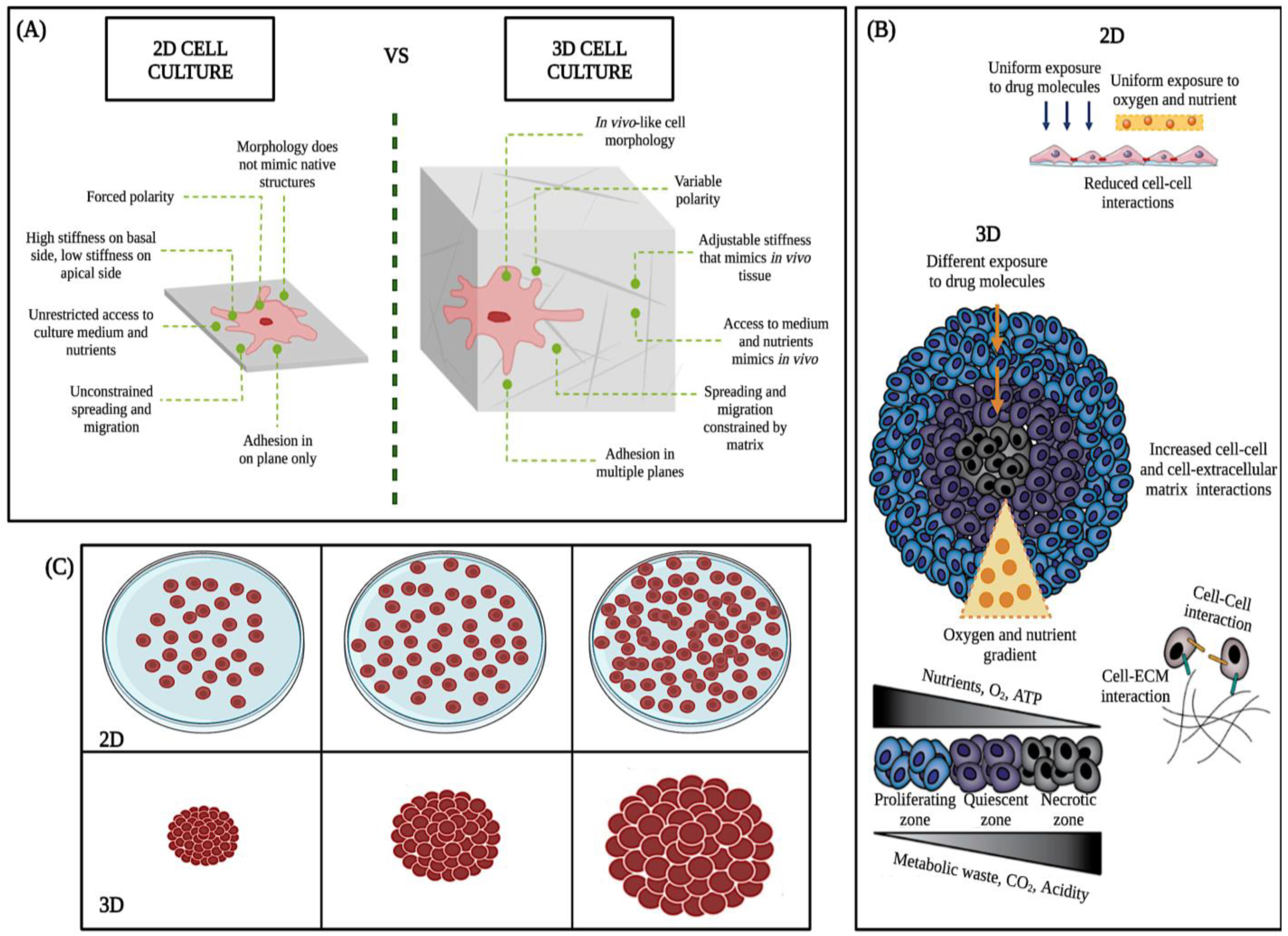 Molecules 28 04361 g004