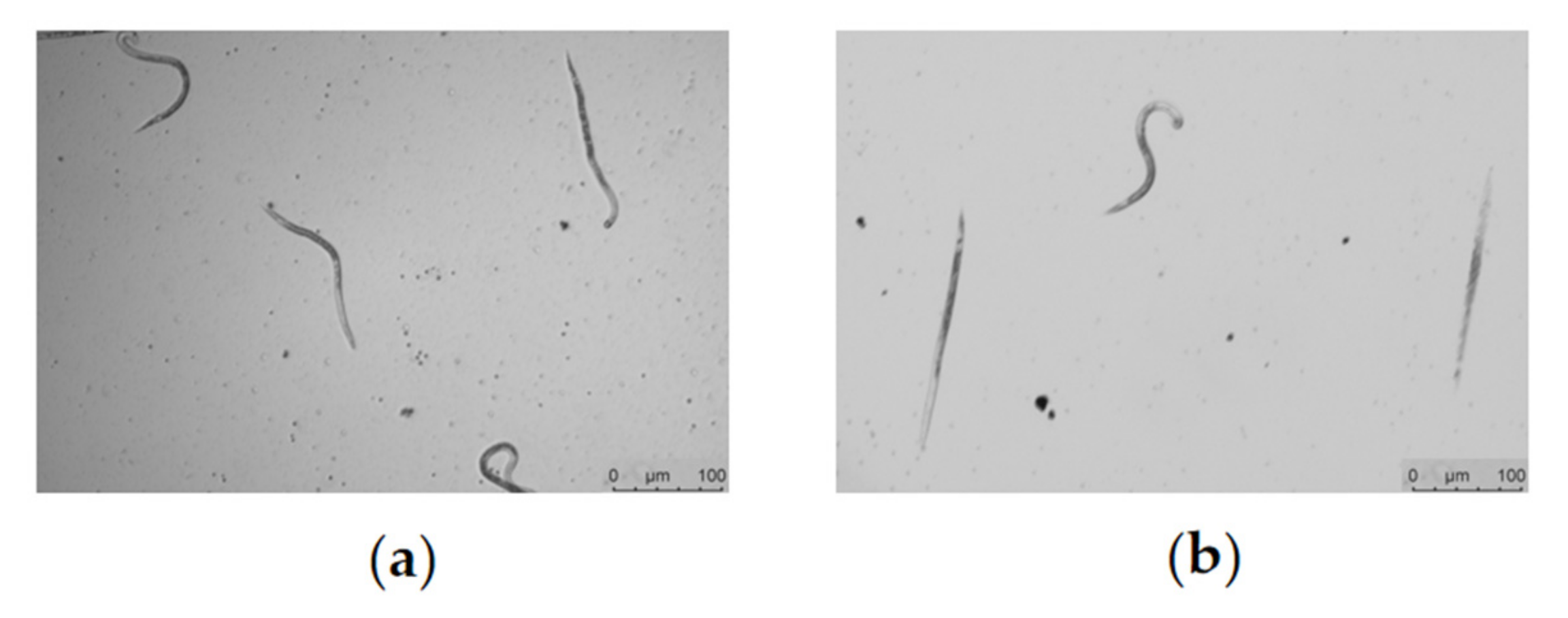 Molecules 28 04365 g007 Molecules 28 04365 g007