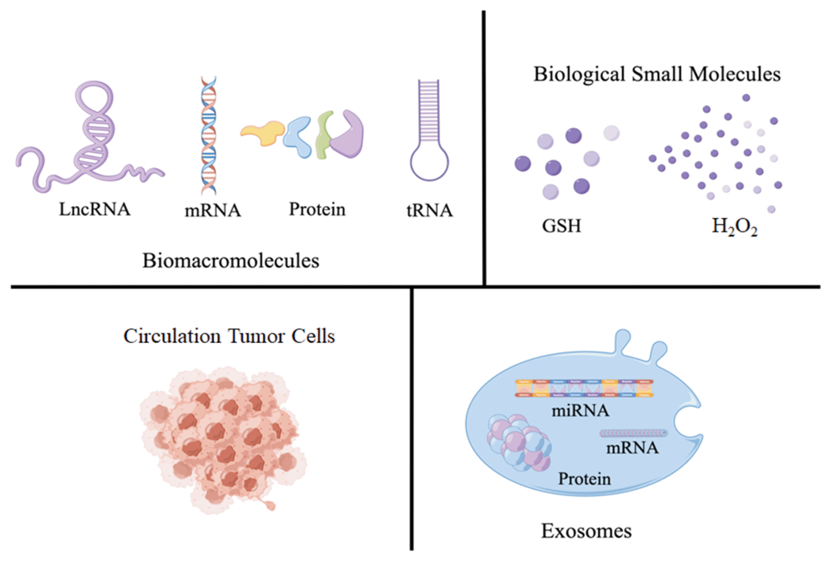 Molecules 28 04370 g001