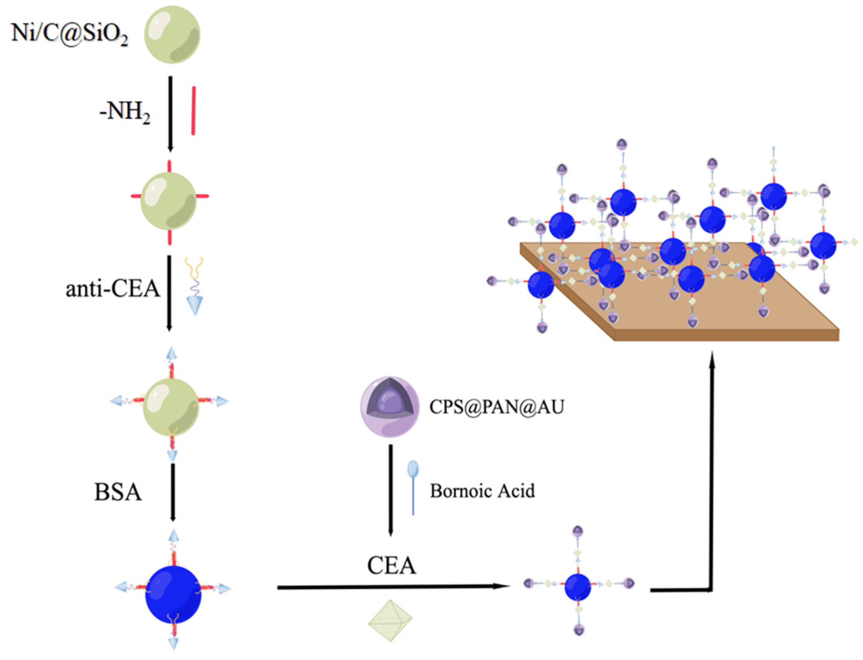 Molecules 28 04370 g003