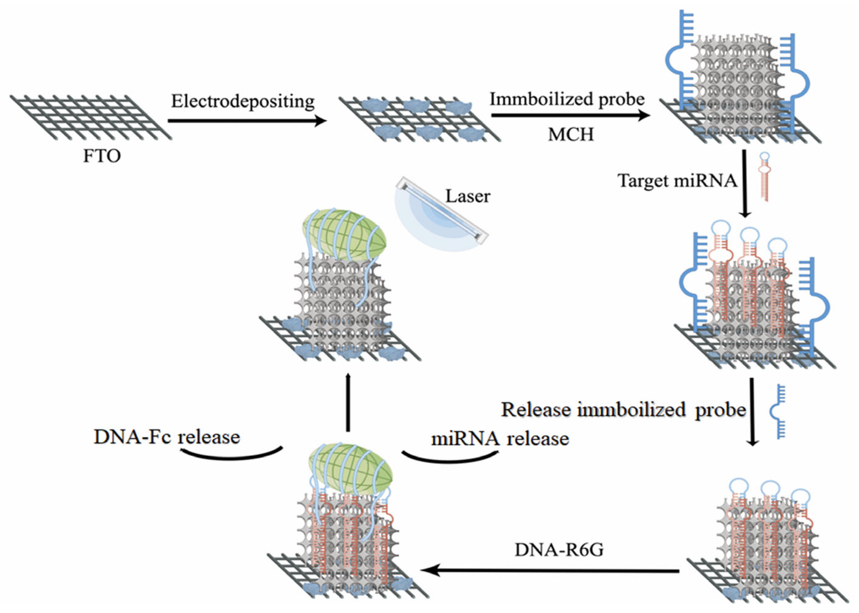 Molecules 28 04370 g004