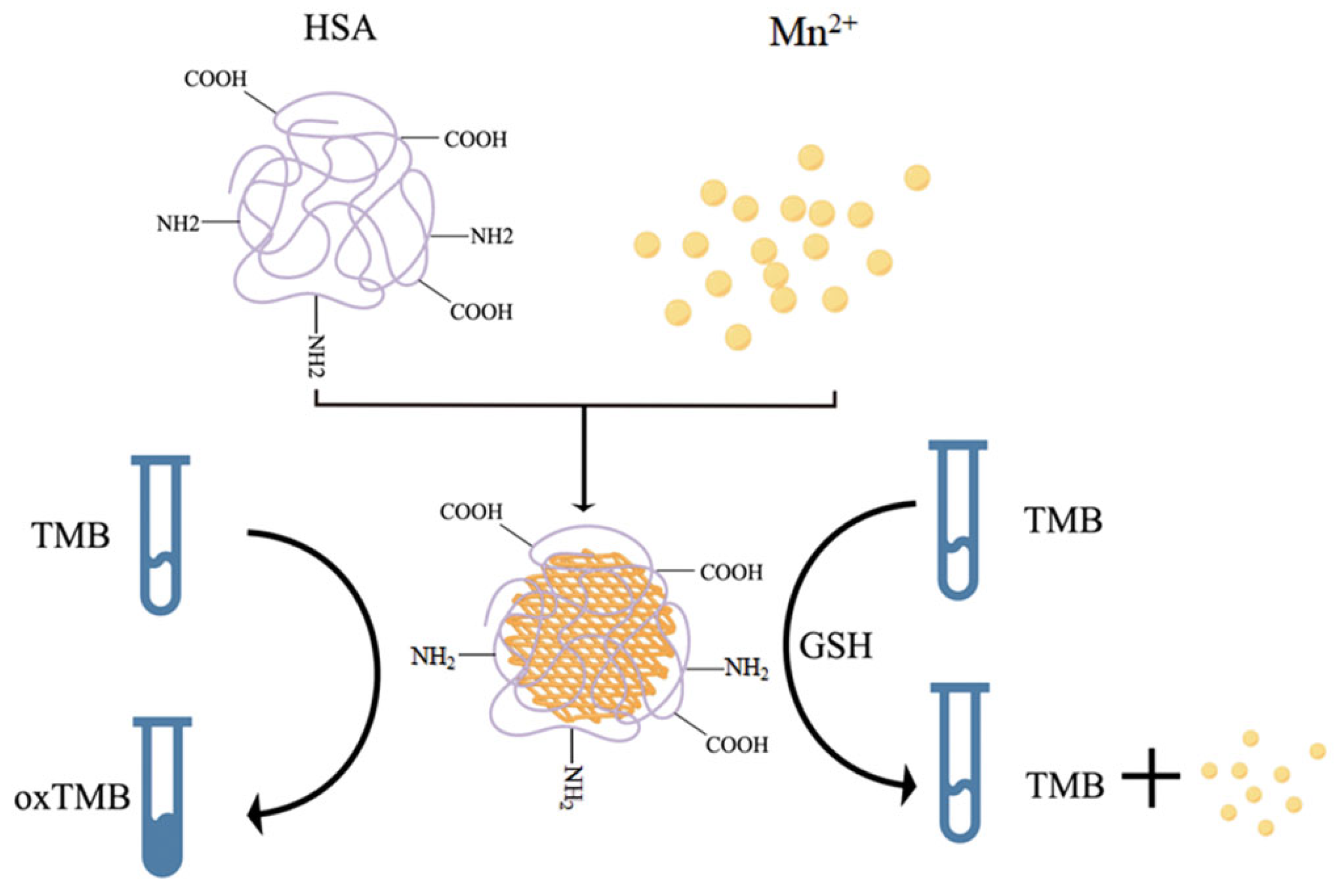 Molecules 28 04370 g005