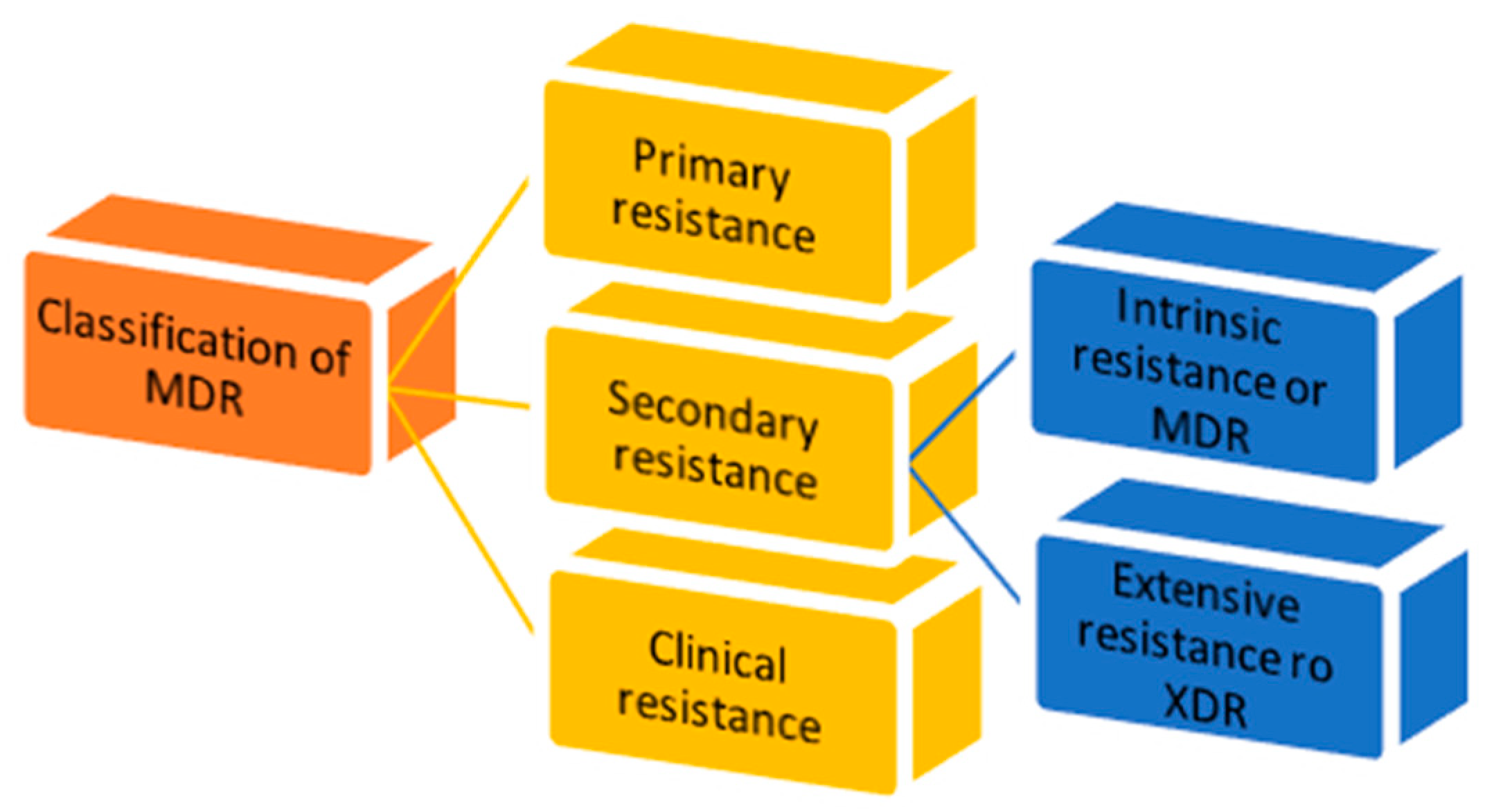 Molecules 28 04378 g001 Molecules 28 04378 g001