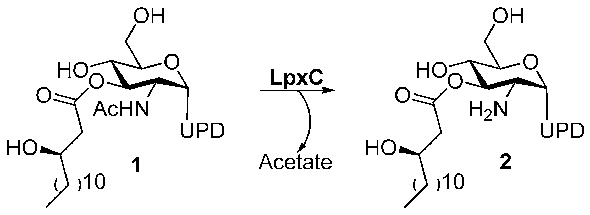 Molecules 28 04378 g002 Molecules 28 04378 g002