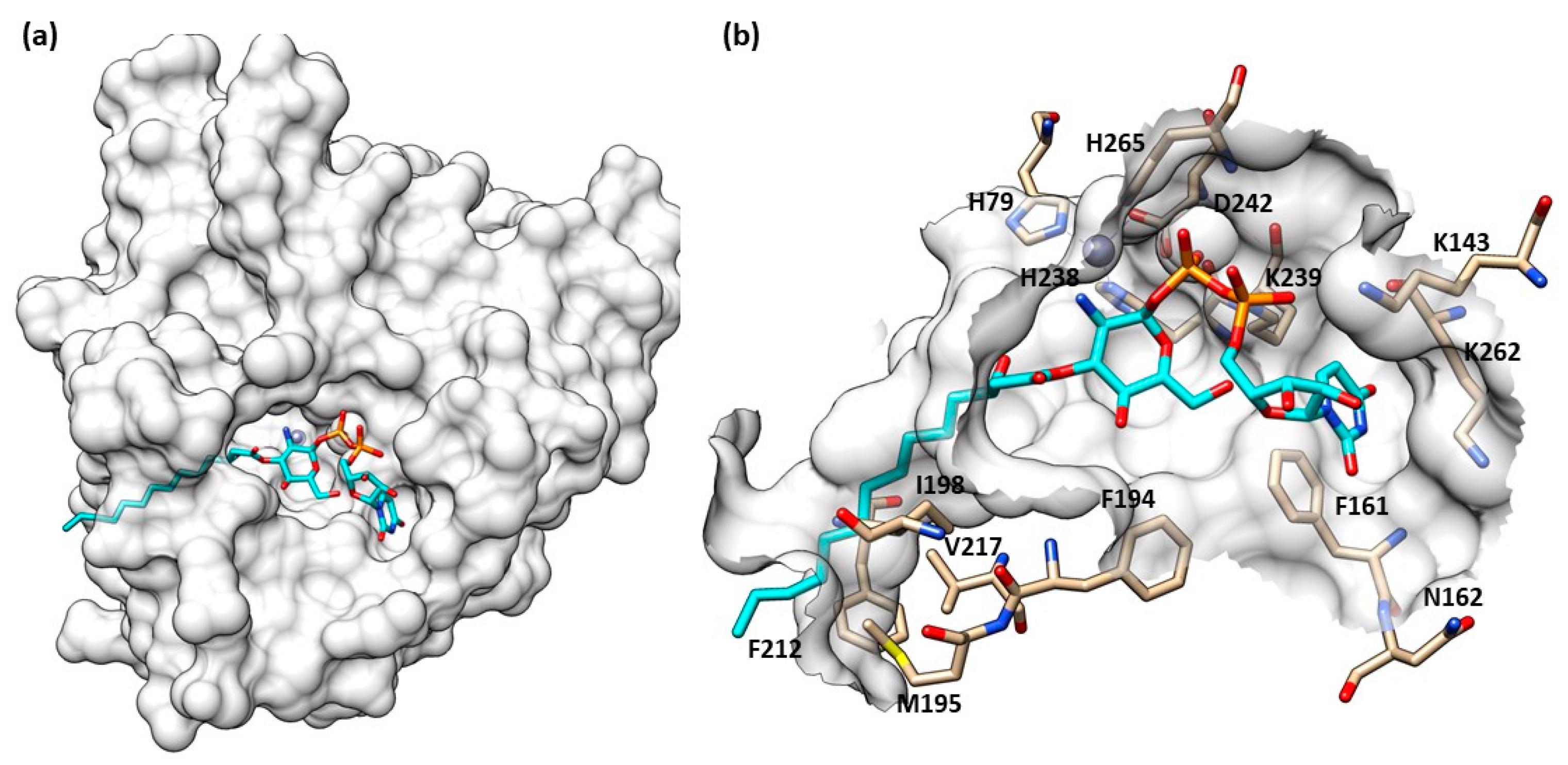 Molecules 28 04378 g003 Molecules 28 04378 g003
