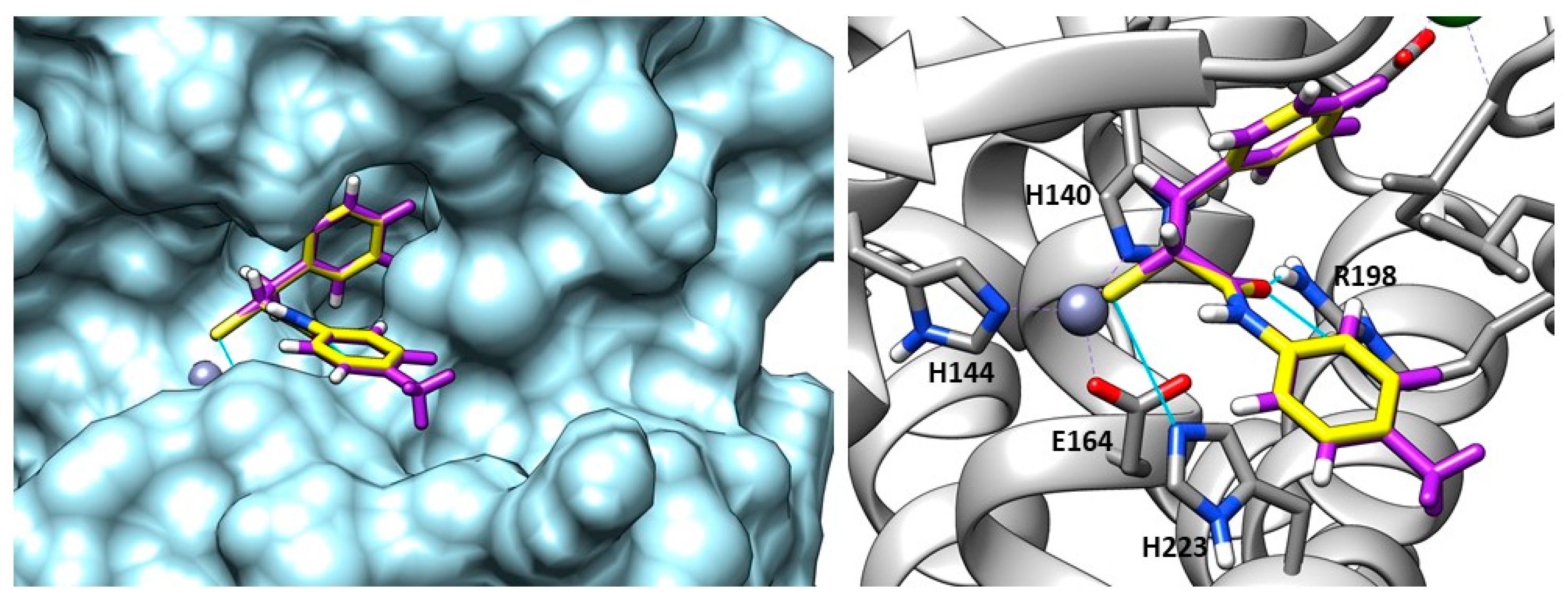 Molecules 28 04378 g023 Molecules 28 04378 g023