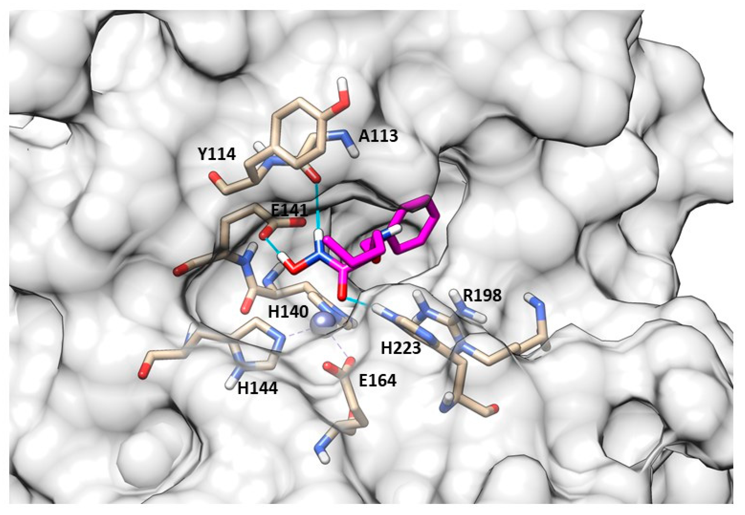 Molecules 28 04378 g025 Molecules 28 04378 g025