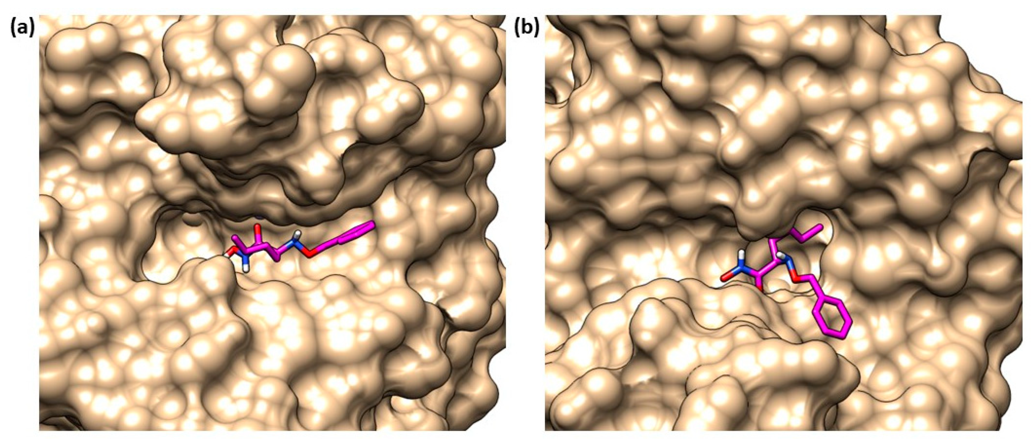 Molecules 28 04378 g026 Molecules 28 04378 g026