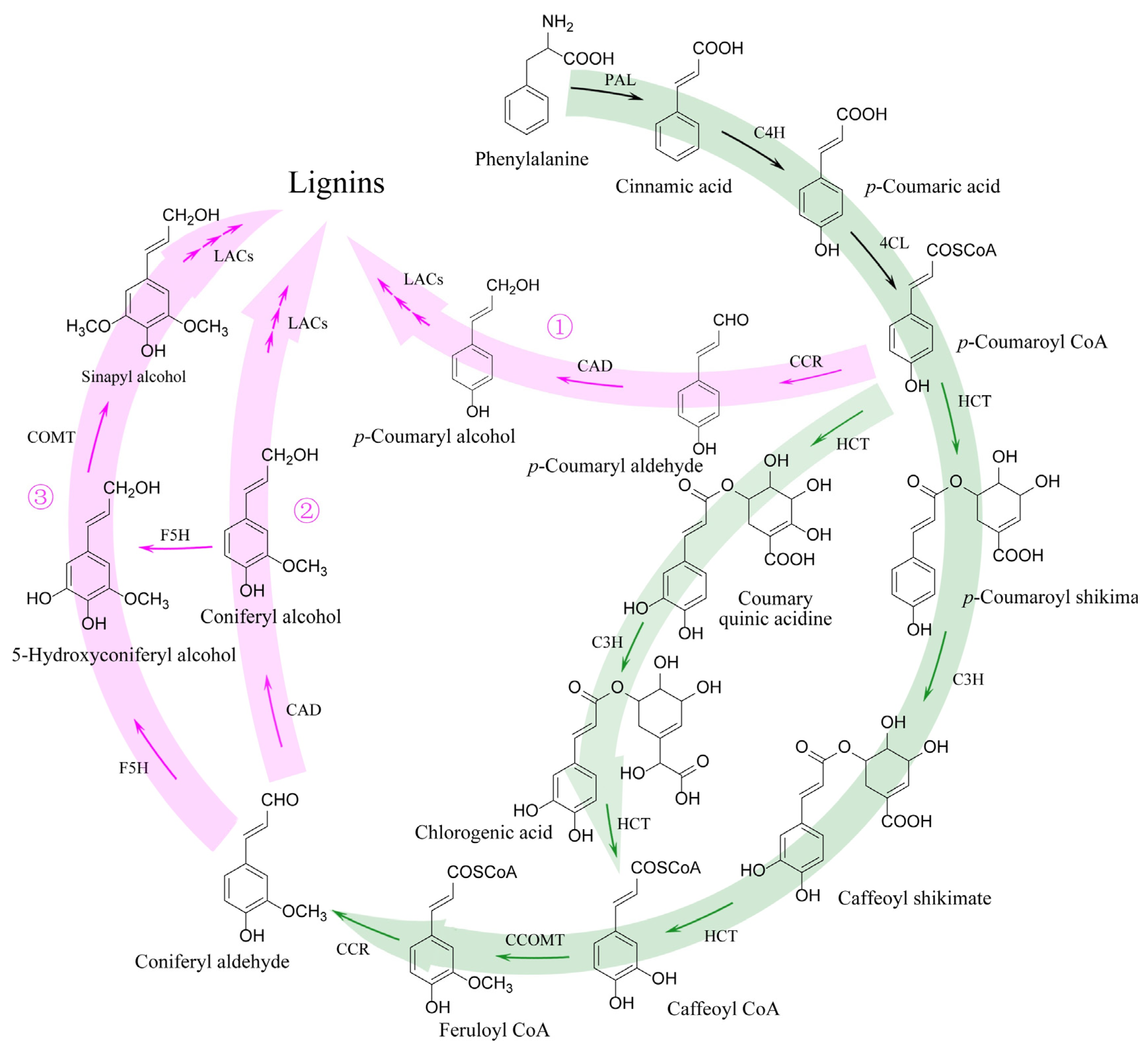 Molecules 28 04384 g008 Molecules 28 04384 g008