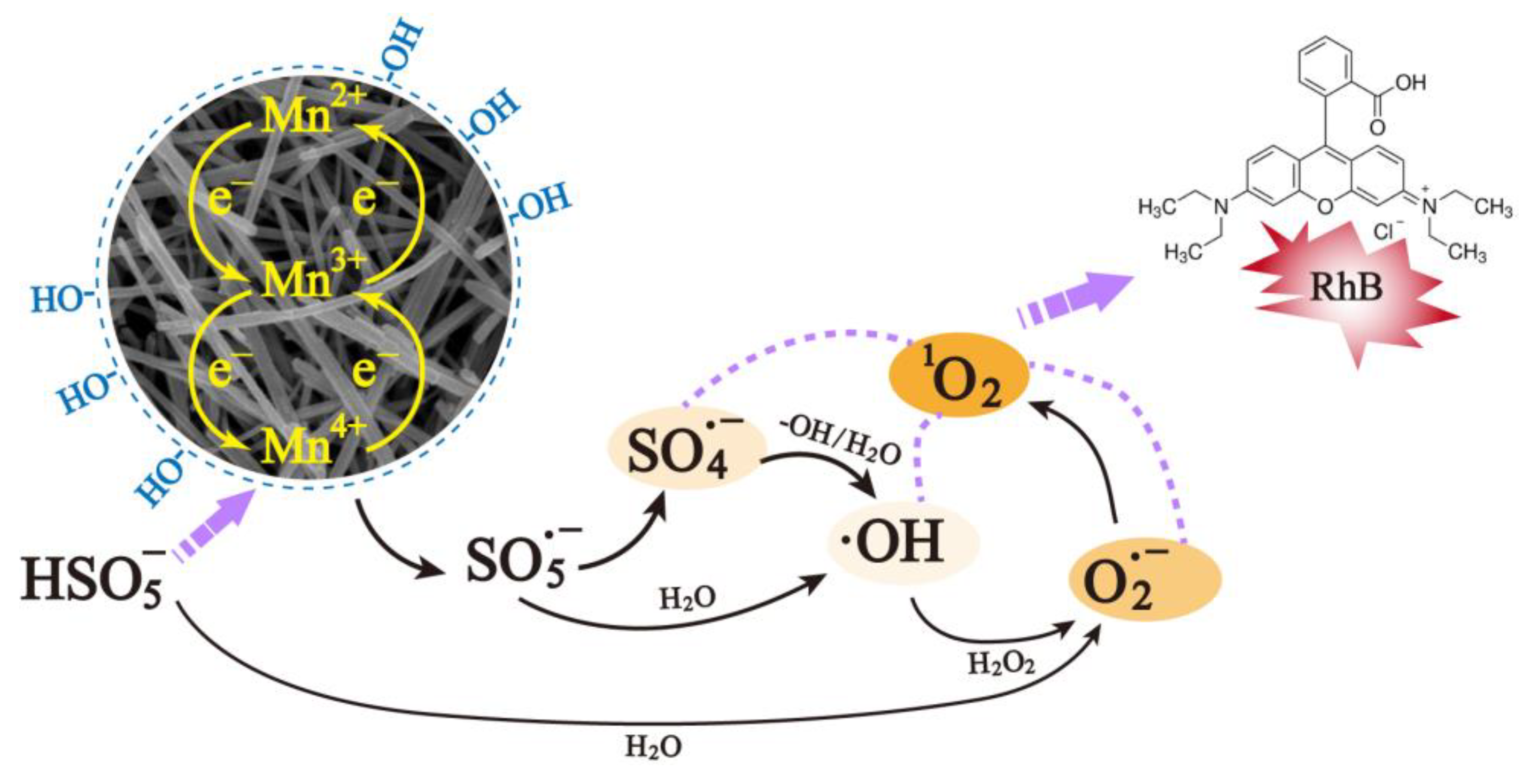Molecules 28 04388 g011